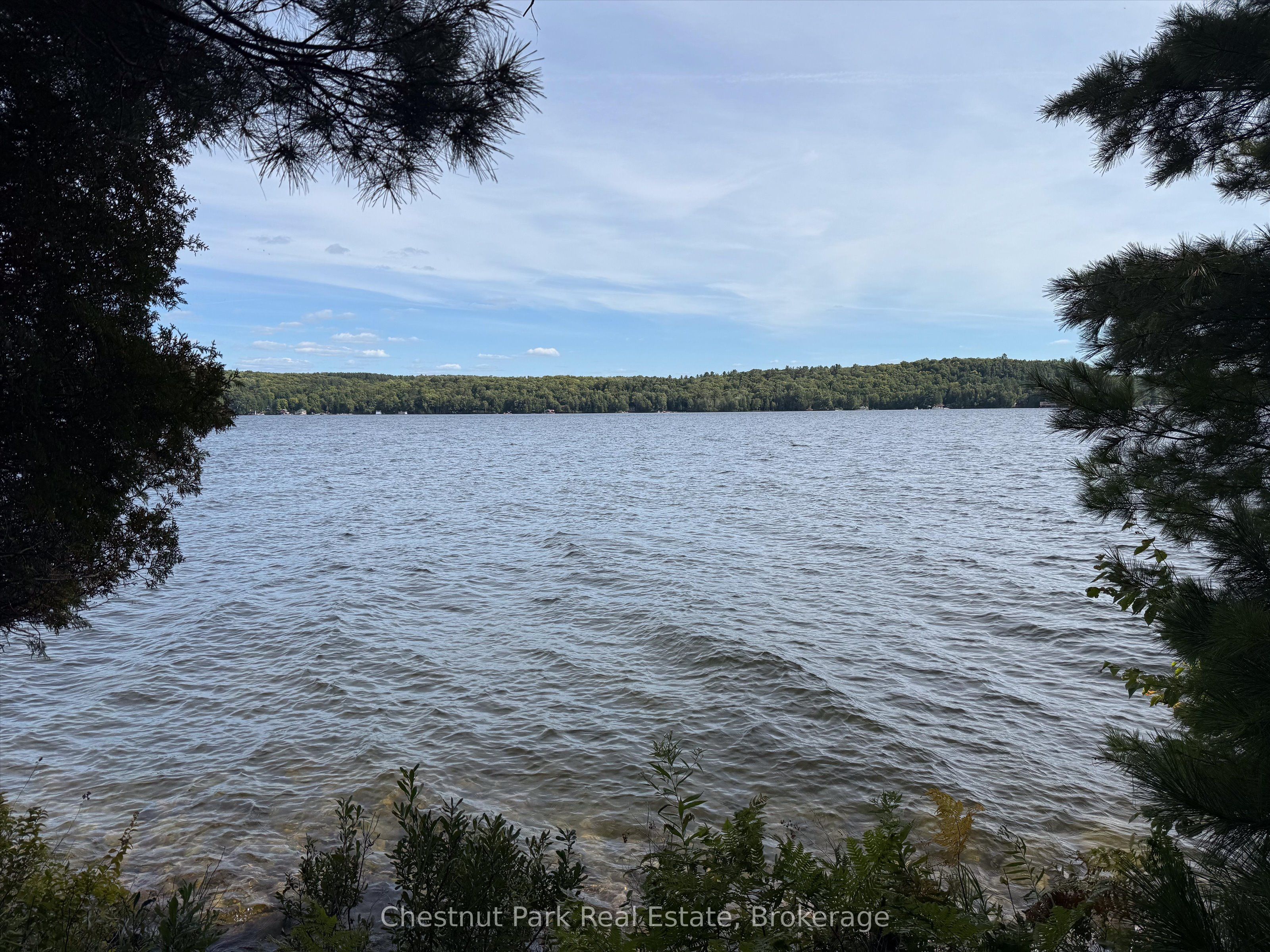 32 Bigwin Island Property Photo 16