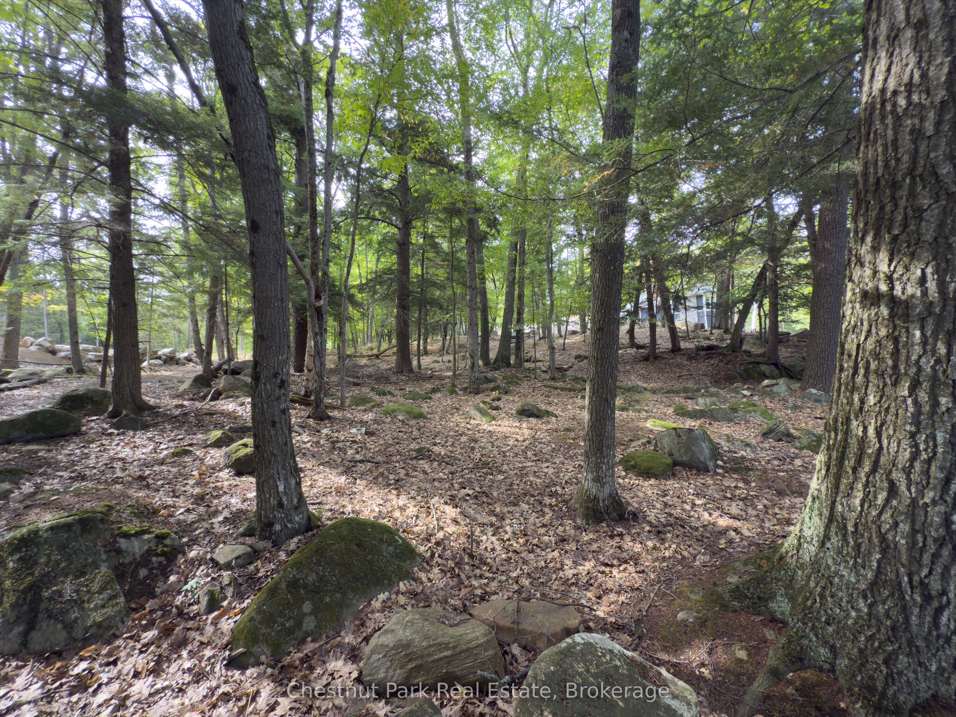 32 Bigwin Island Property Photo 20