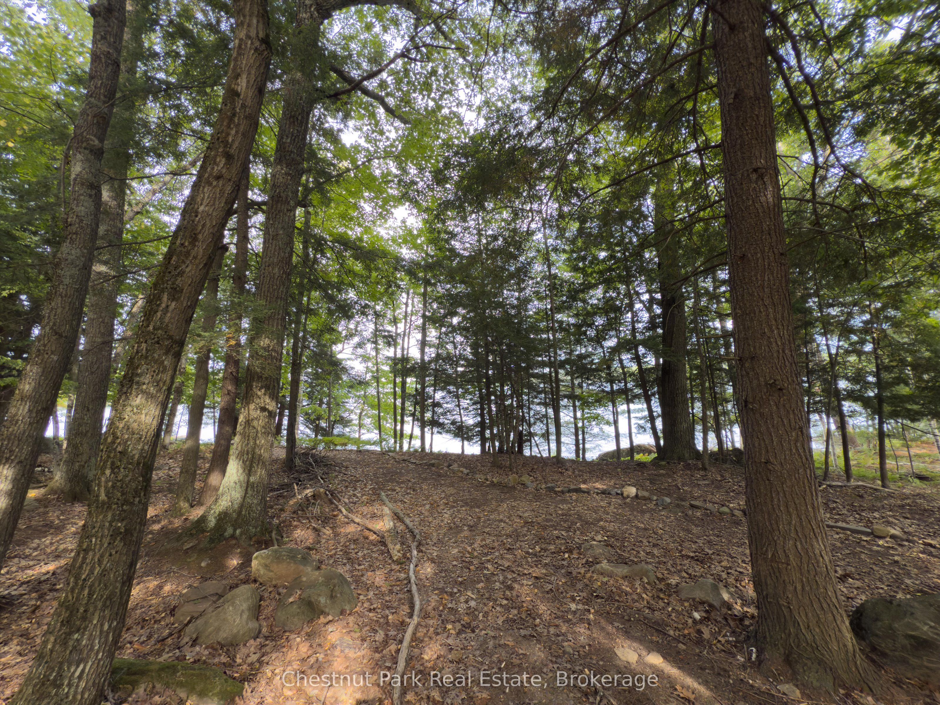 32 Bigwin Island Property Photo 21