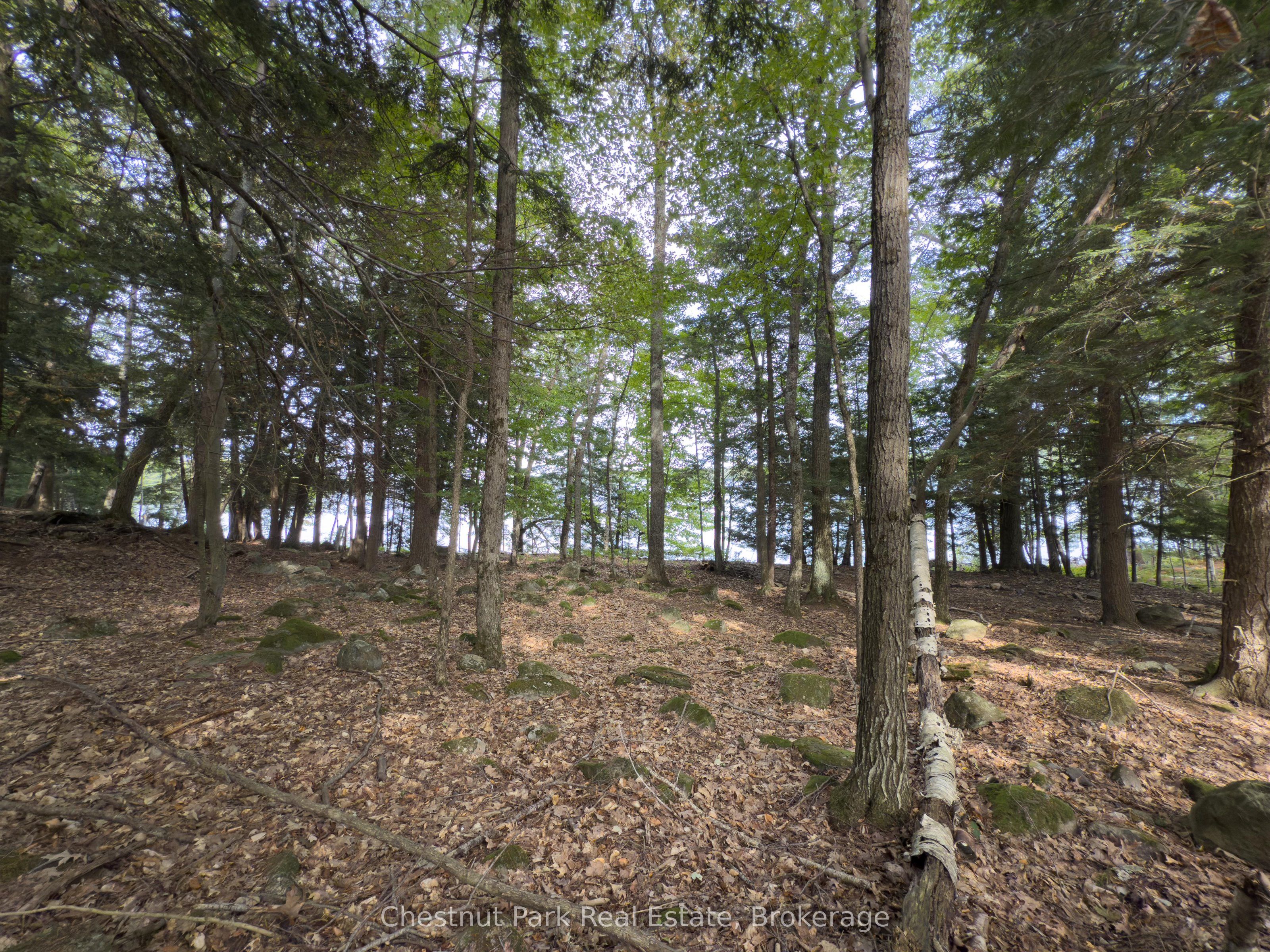 32 Bigwin Island Property Photo 22