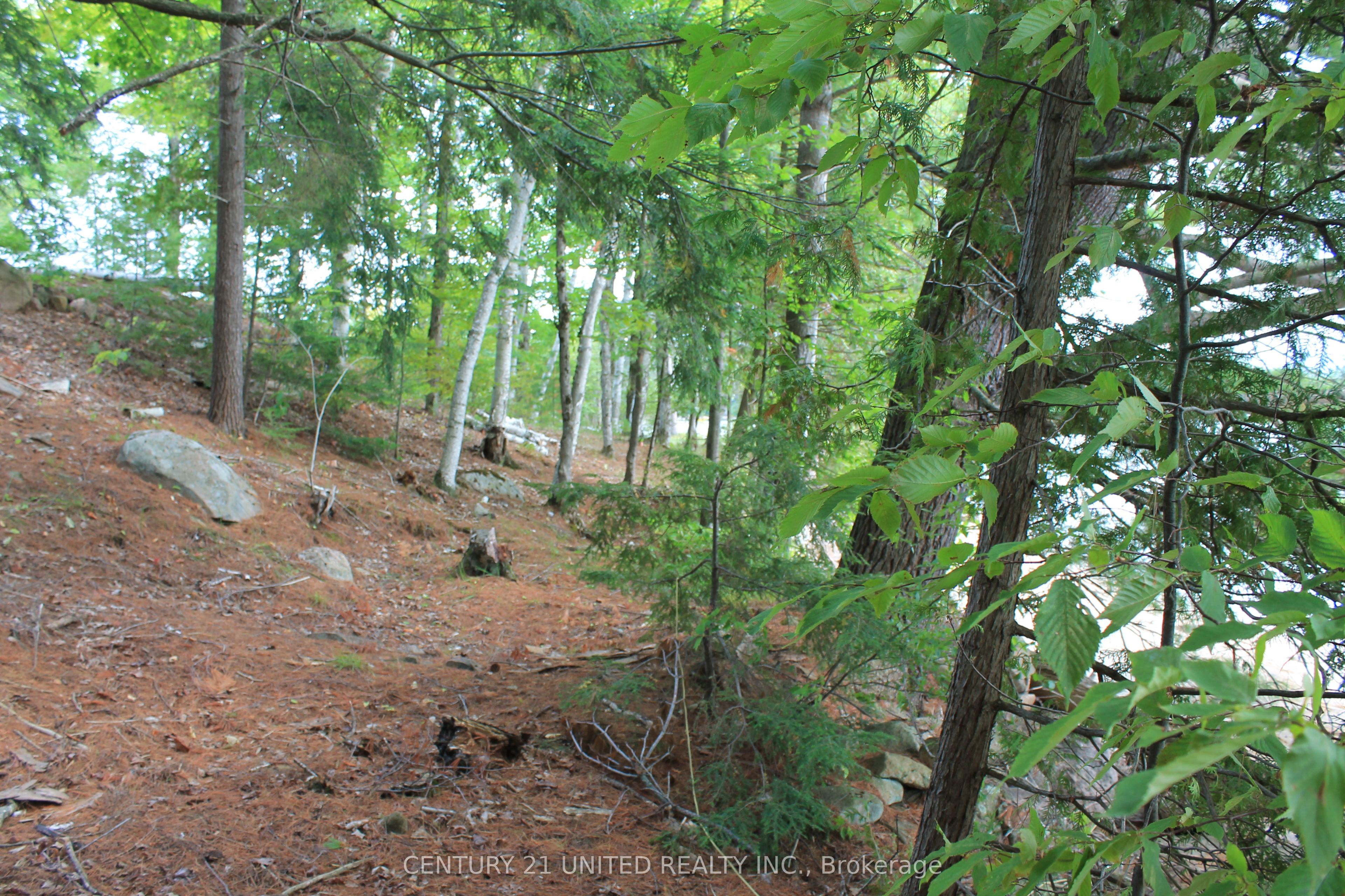 45 Fire Route 223 Property Photo 29