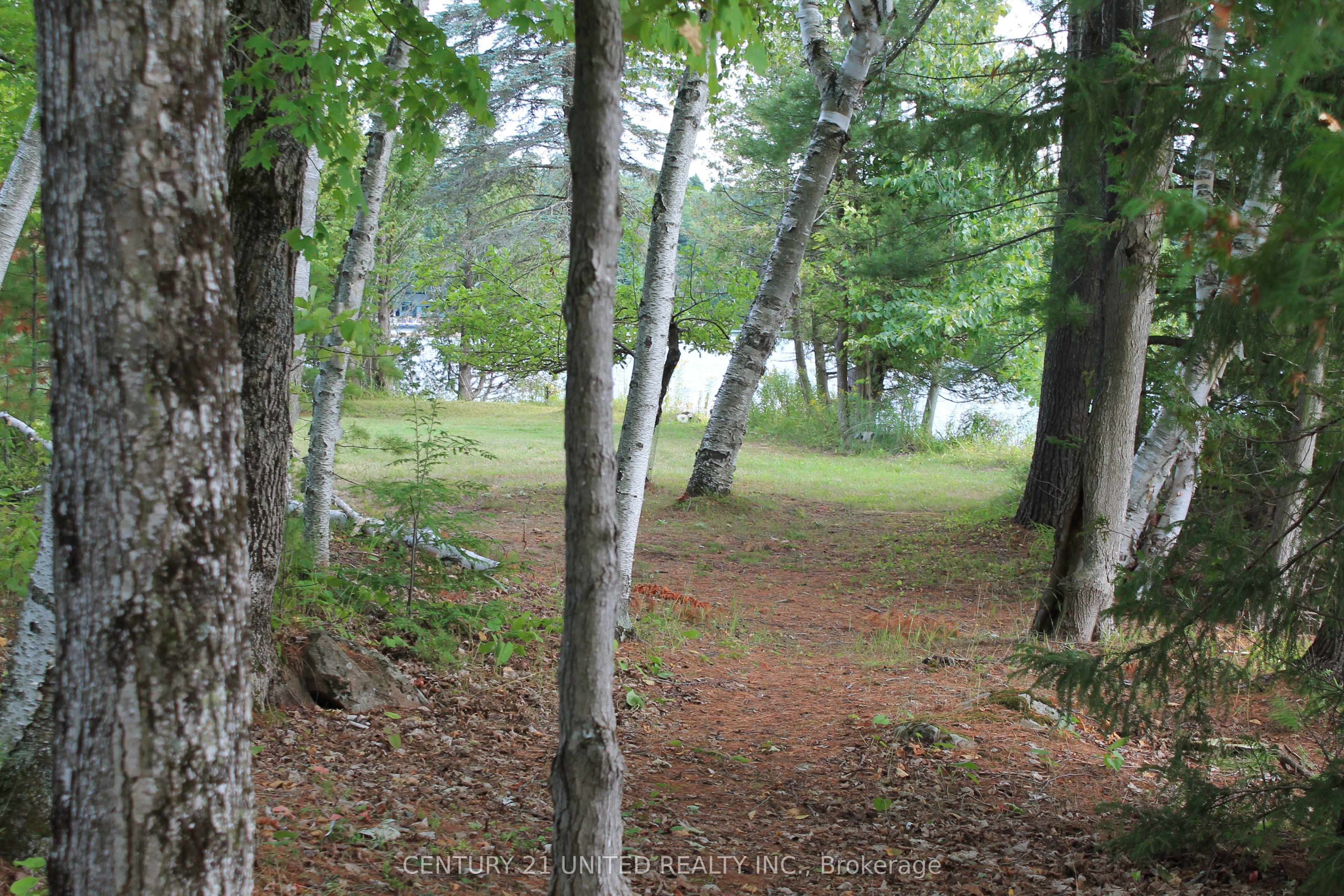 45 Fire Route 223 Property Photo 32