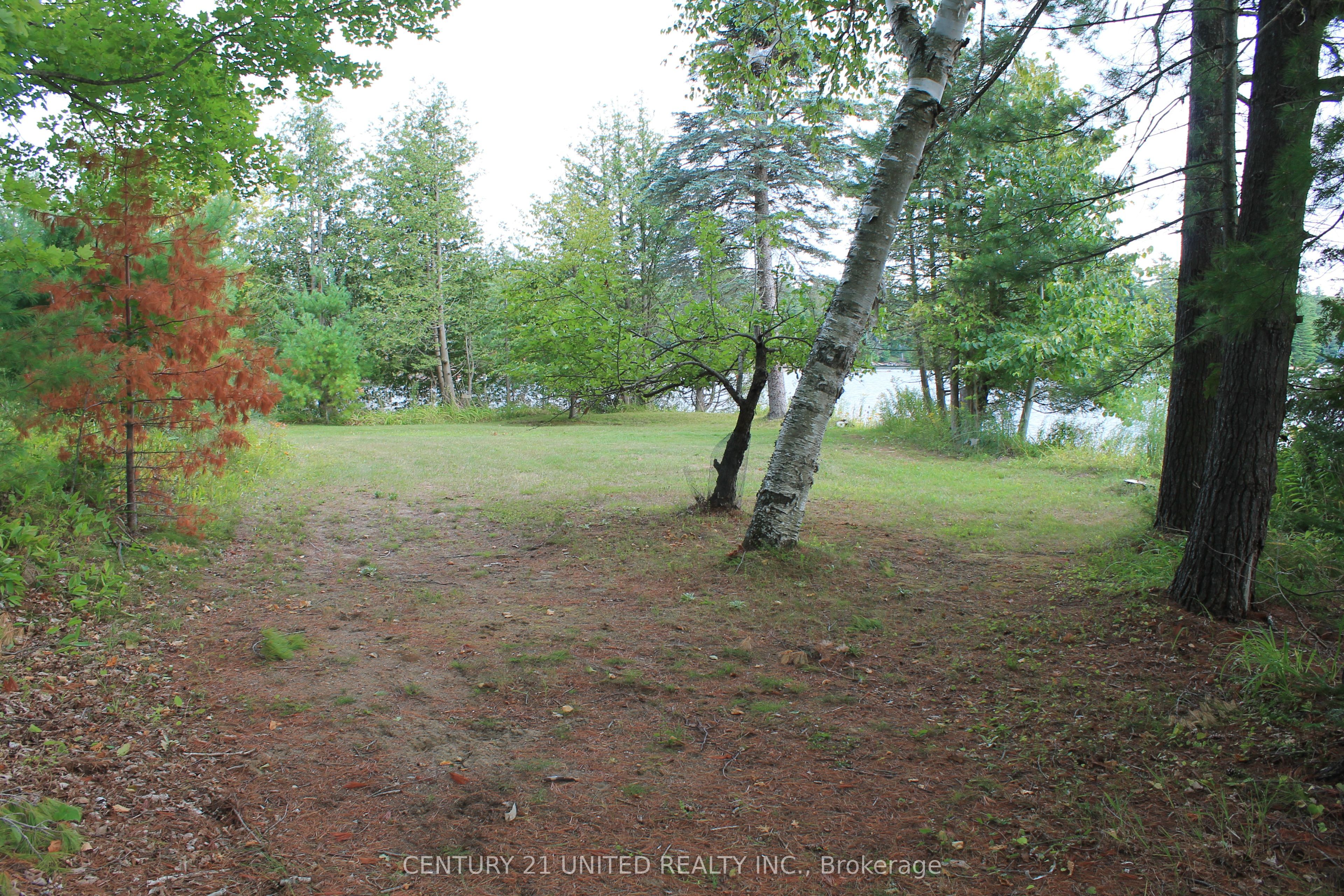 45 Fire Route 223 Property Photo 33