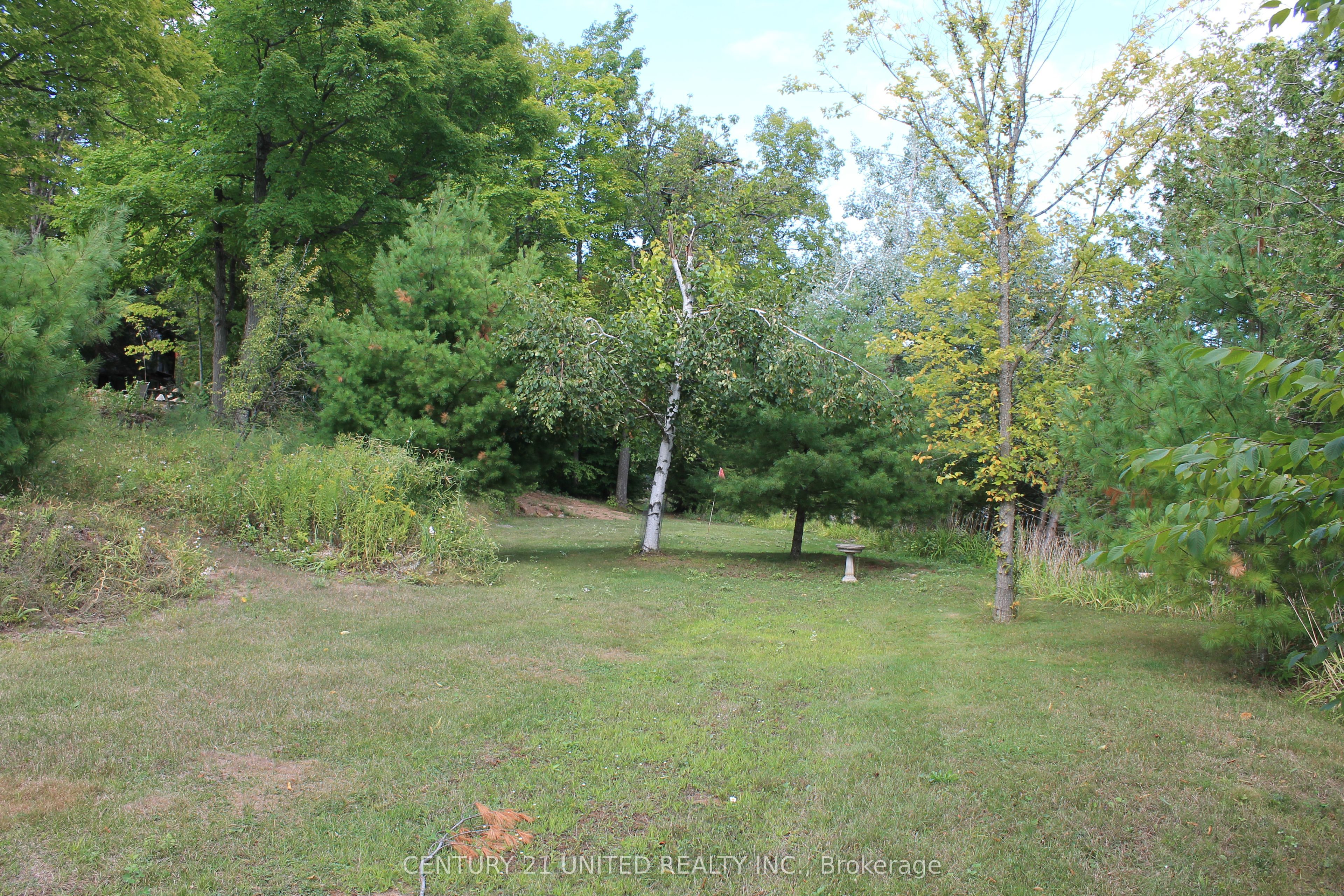 45 Fire Route 223 Property Photo 35