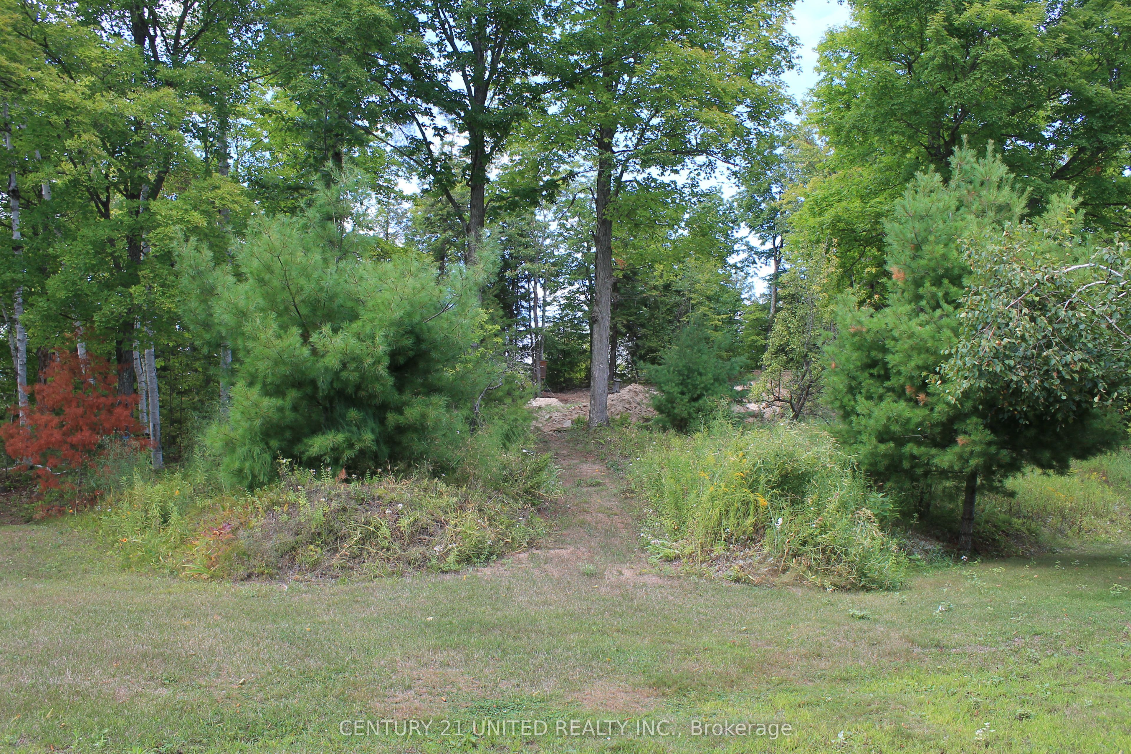 45 Fire Route 223 Property Photo 36