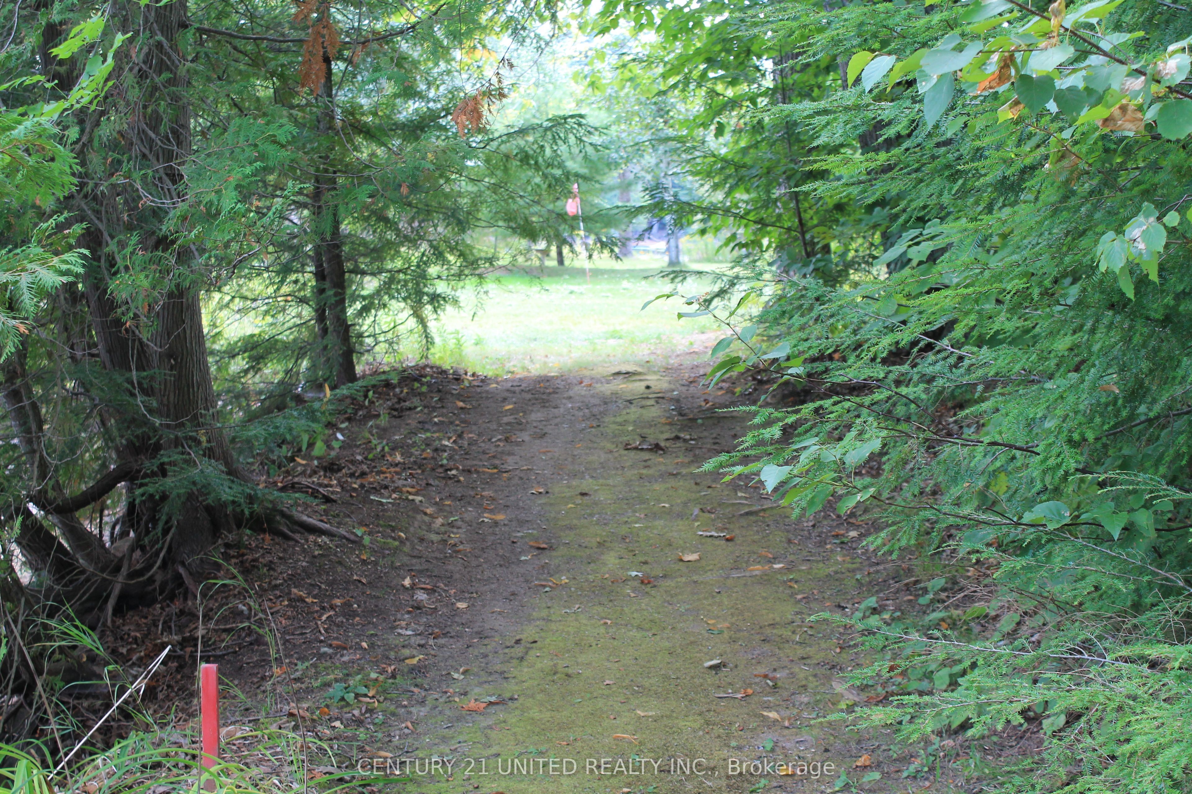 45 Fire Route 223 Property Photo 40
