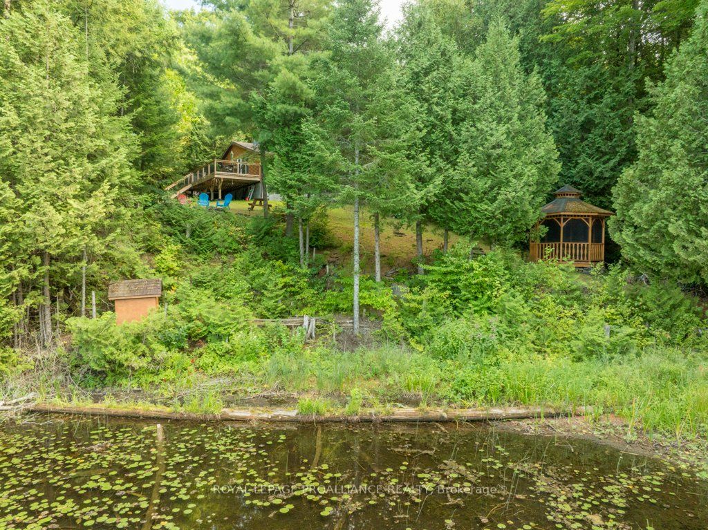 4325a Road 506 Property Photo 43