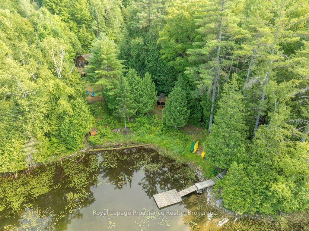 4325a Road 506 Property Photo 45