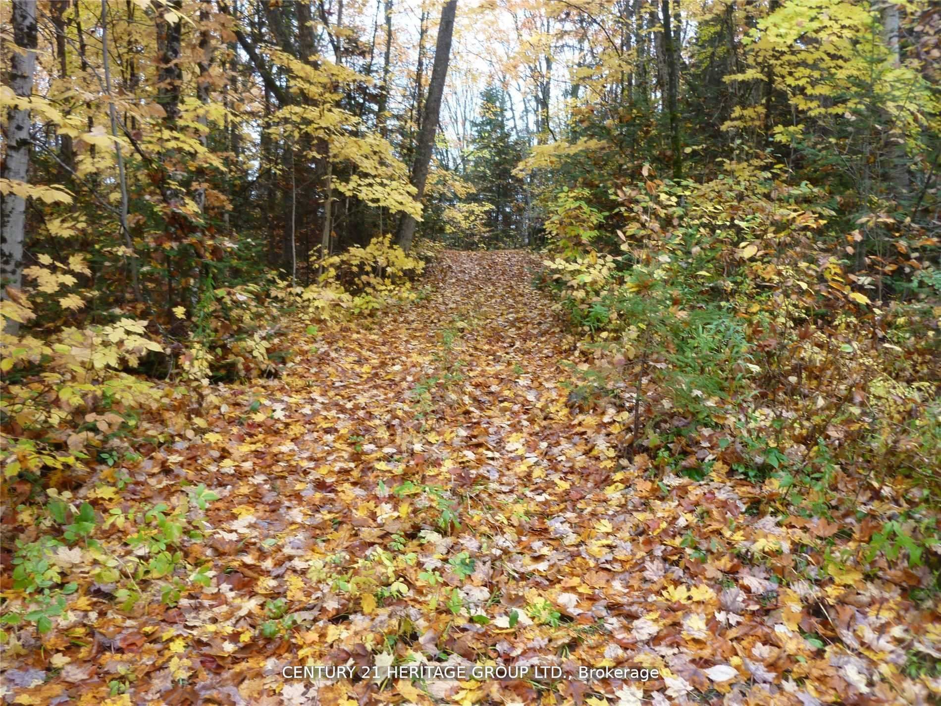 Pt Lot 8 Macduff Road Property Photo 1