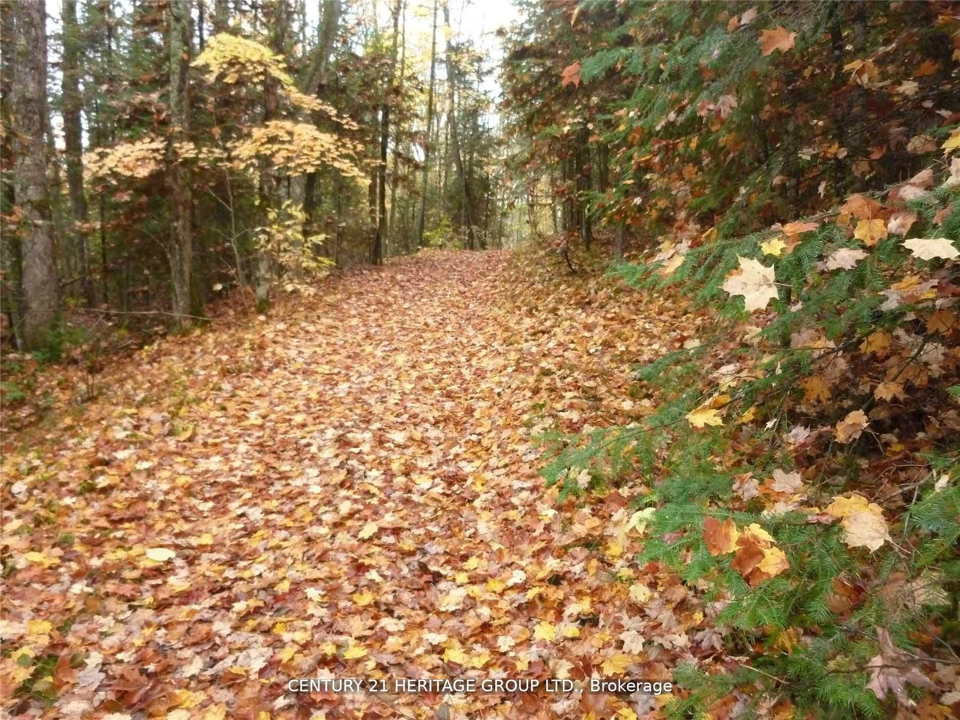 Pt Lot 8 Macduff Road Property Photo 2