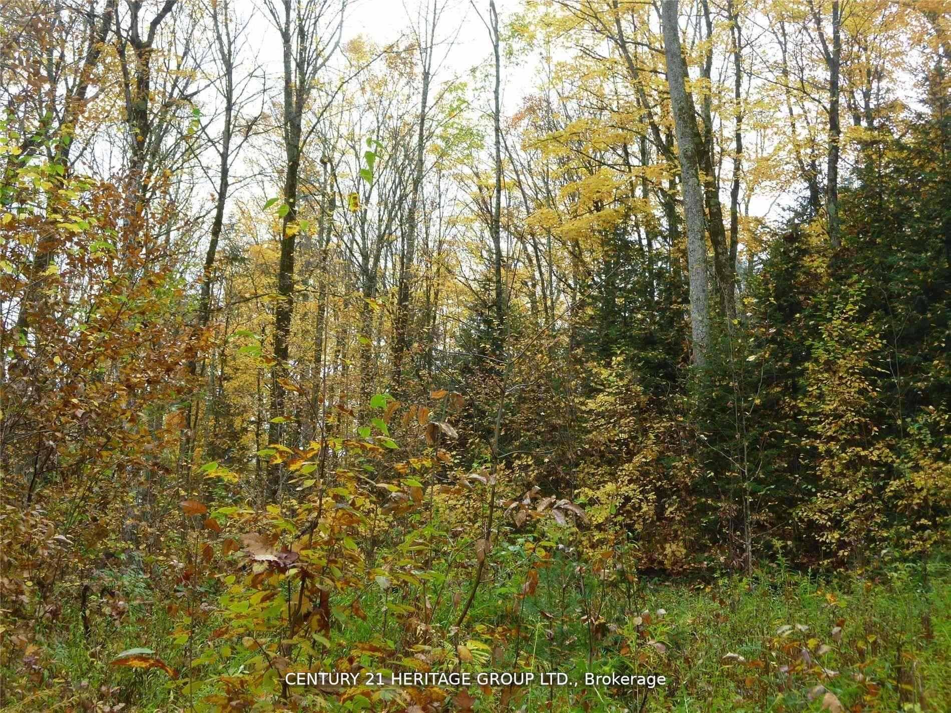 Pt Lot 8 Macduff Road Property Photo 3