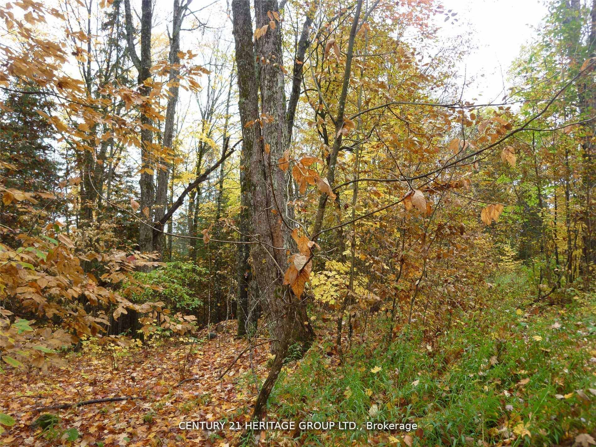 Pt Lot 8 Macduff Road Property Photo 4