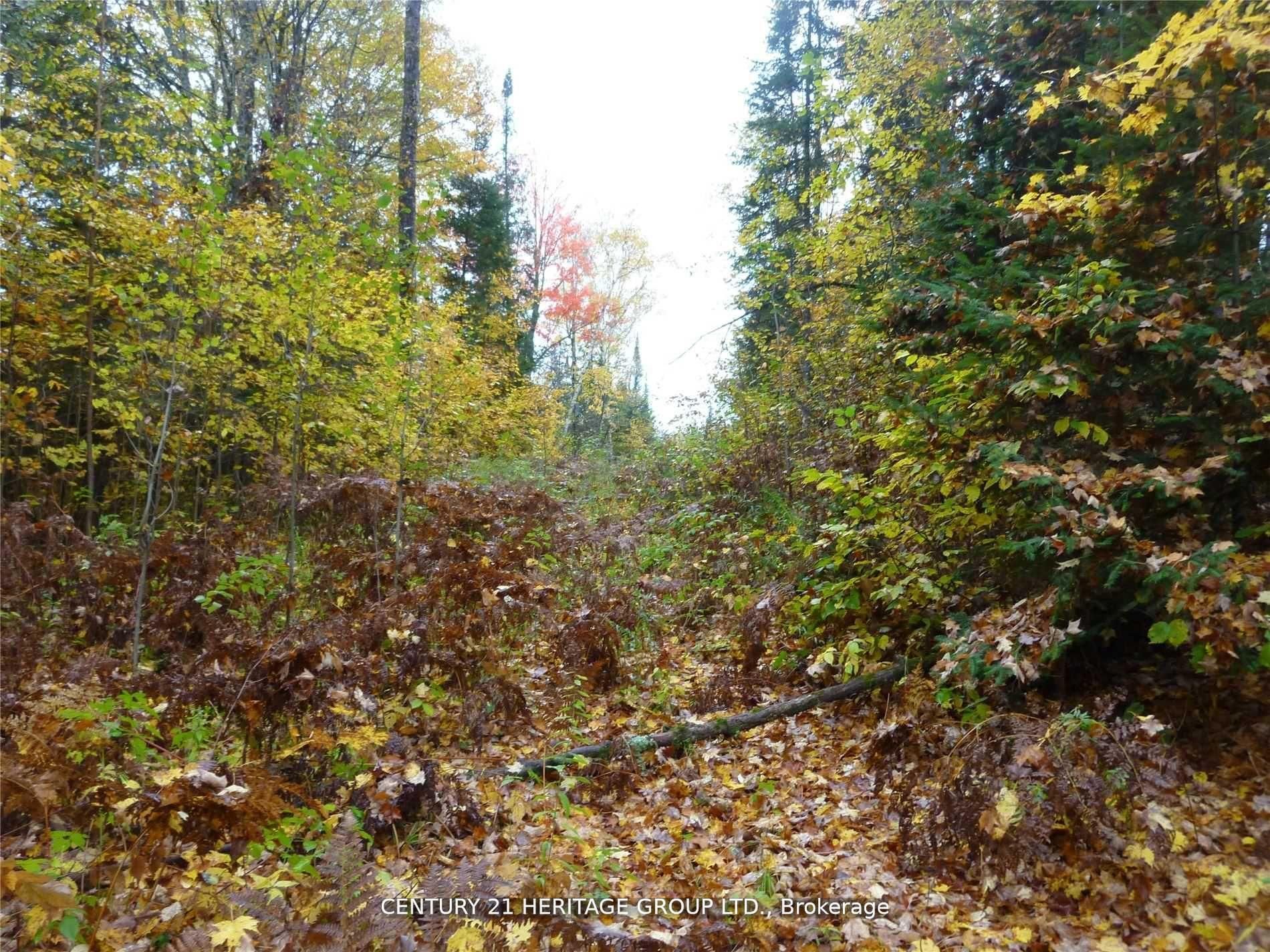 Pt Lot 8 Macduff Road Property Photo 5