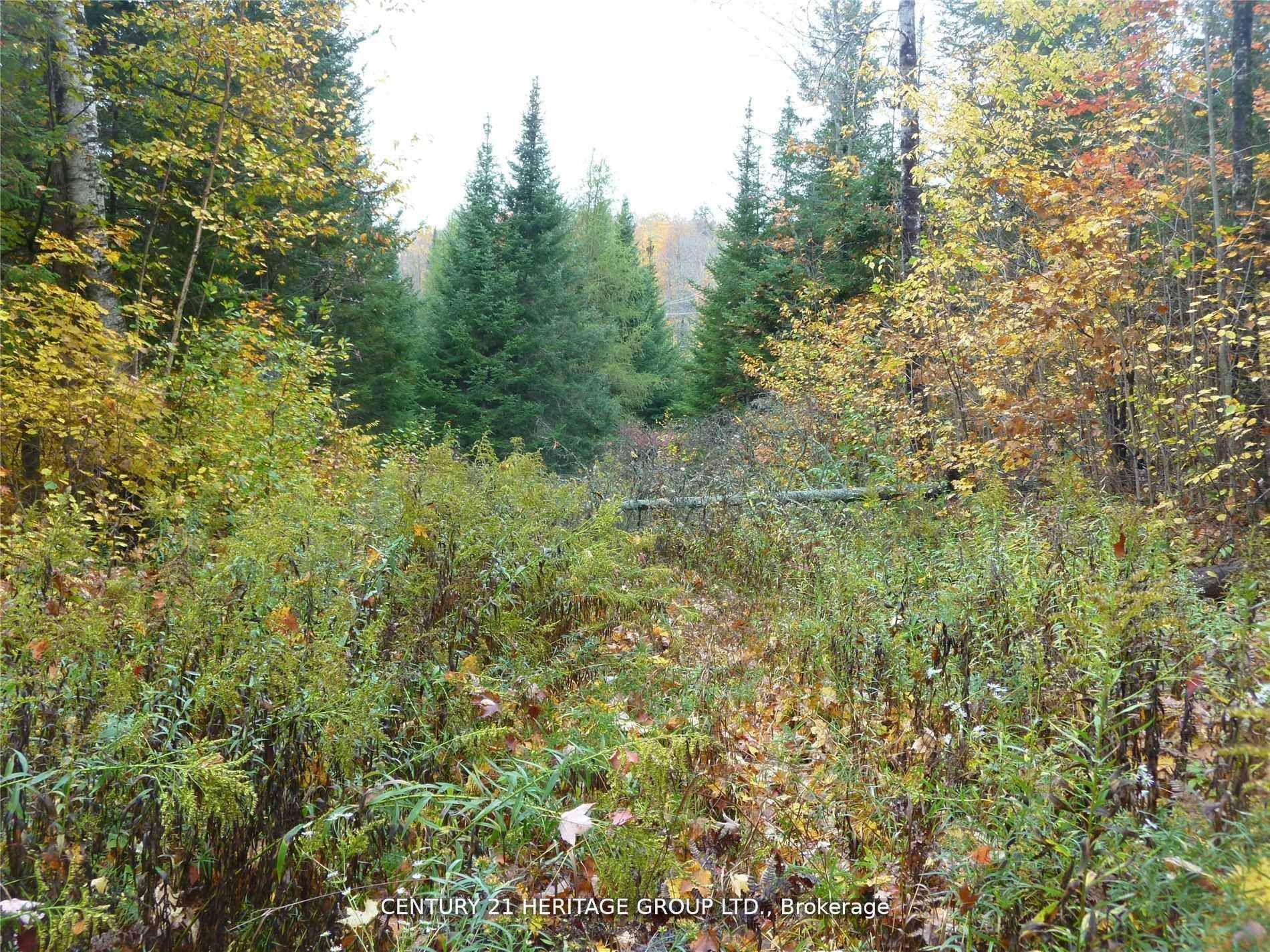 Pt Lot 8 Macduff Road Property Photo 6