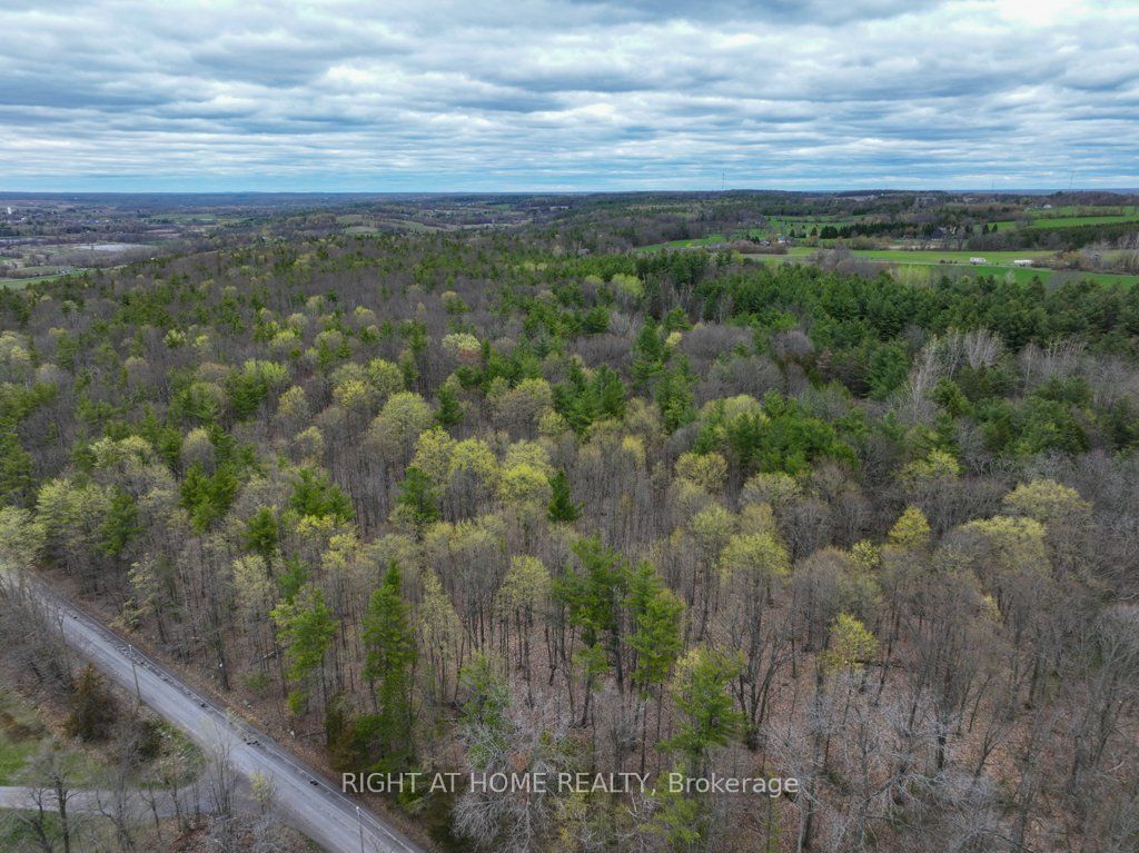 262 Golf Course Road W Property Photo 4