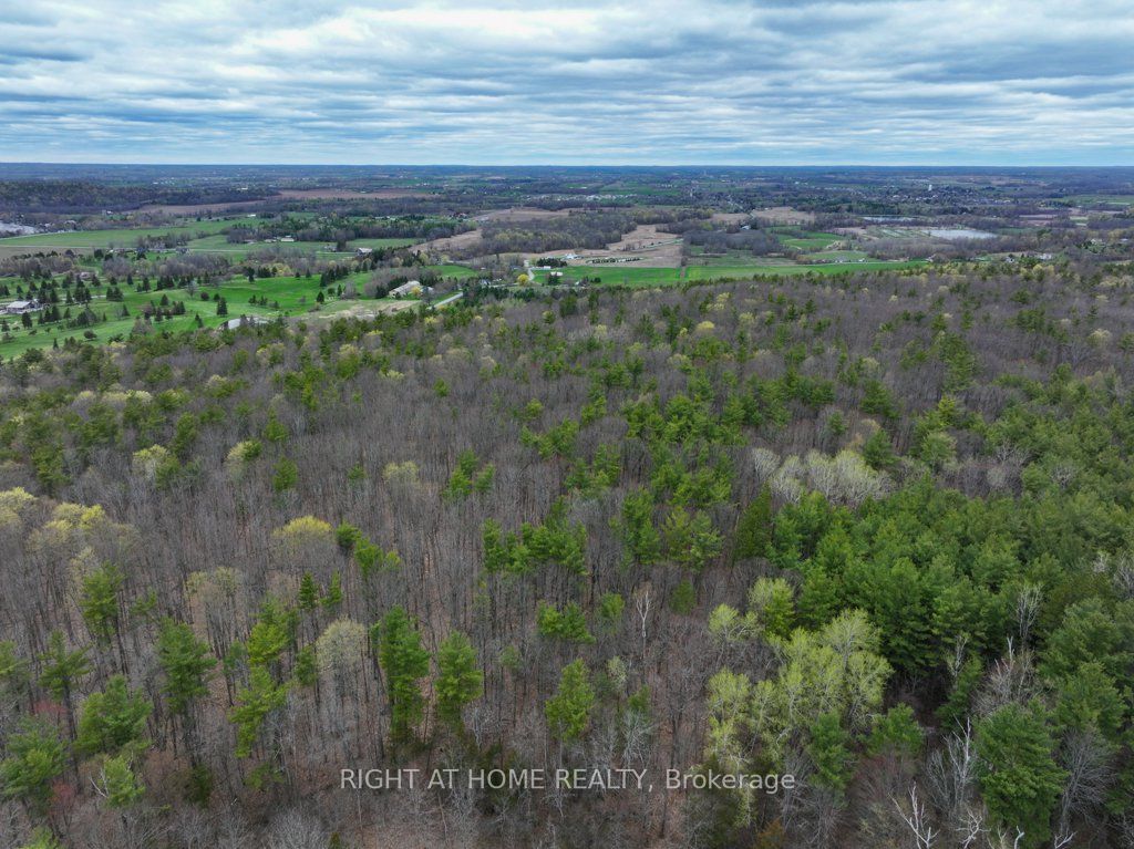 262 Golf Course Road W Property Photo 13