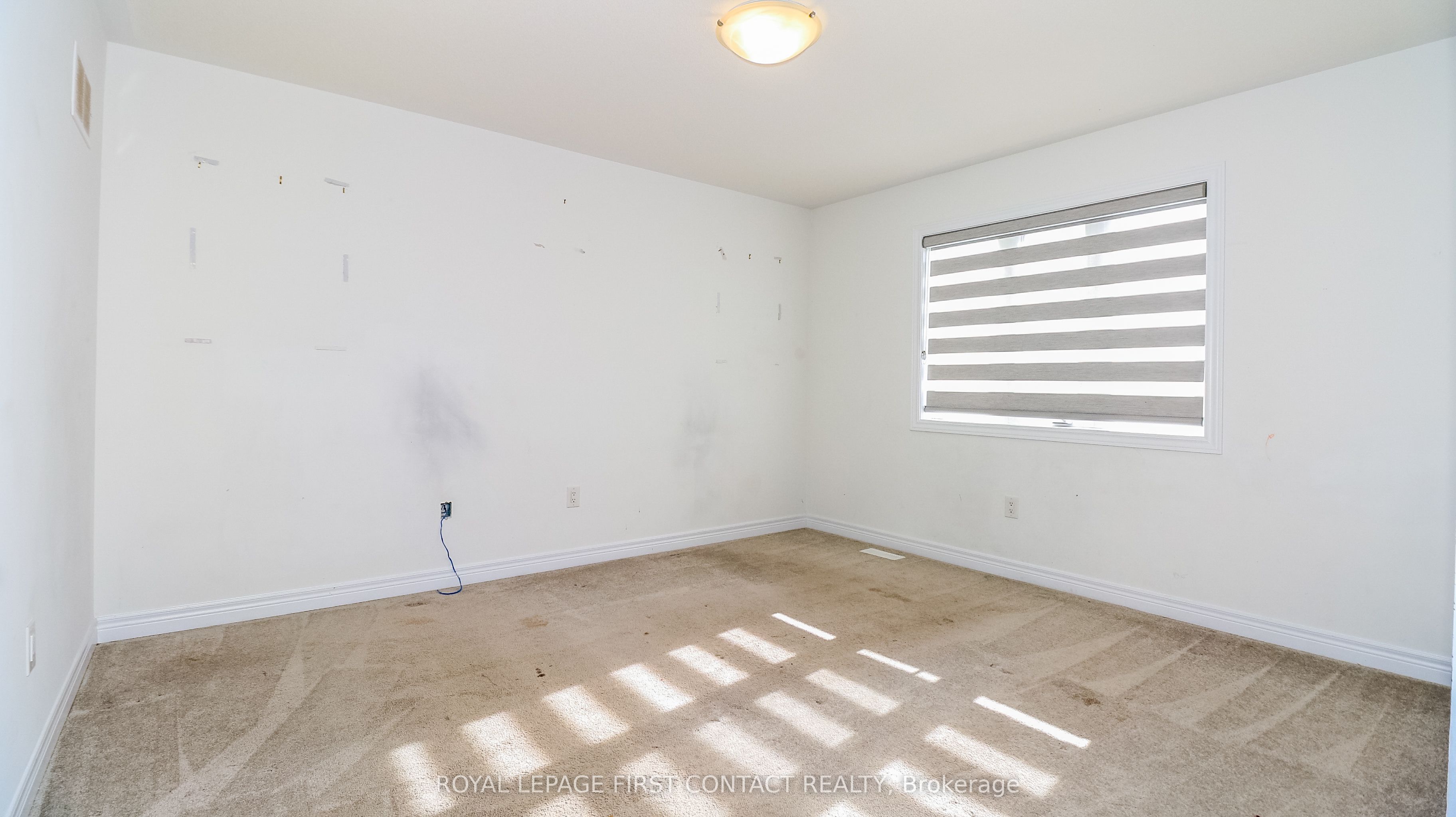 142 Seeley Avenue Property Photo 17