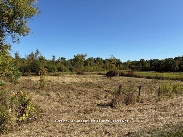 254 Briar Hill Road Property Photo 4