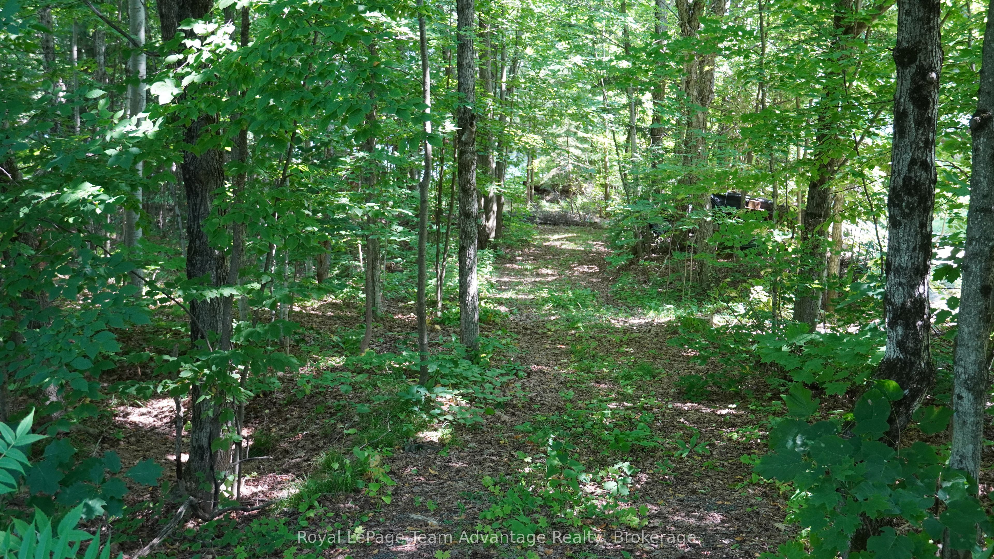 25 Peninsula Shore Road E Property Photo 5