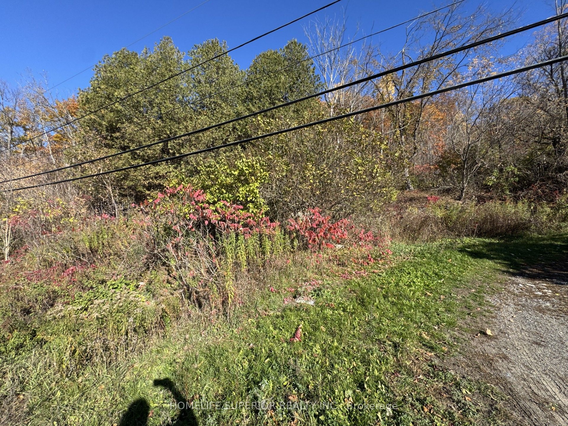 58 Main Street Property Photo 2