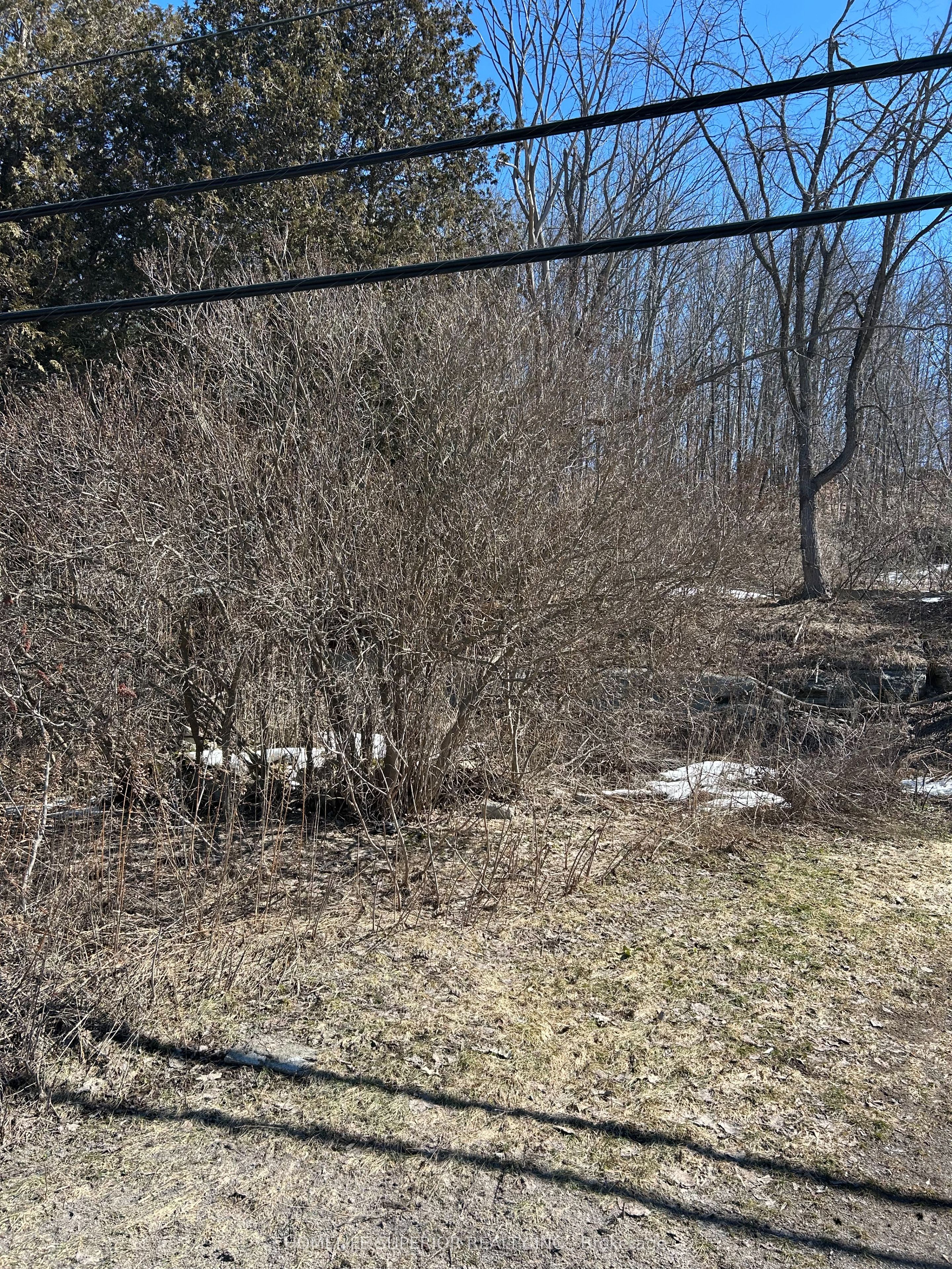 58 Main Street Property Photo 3