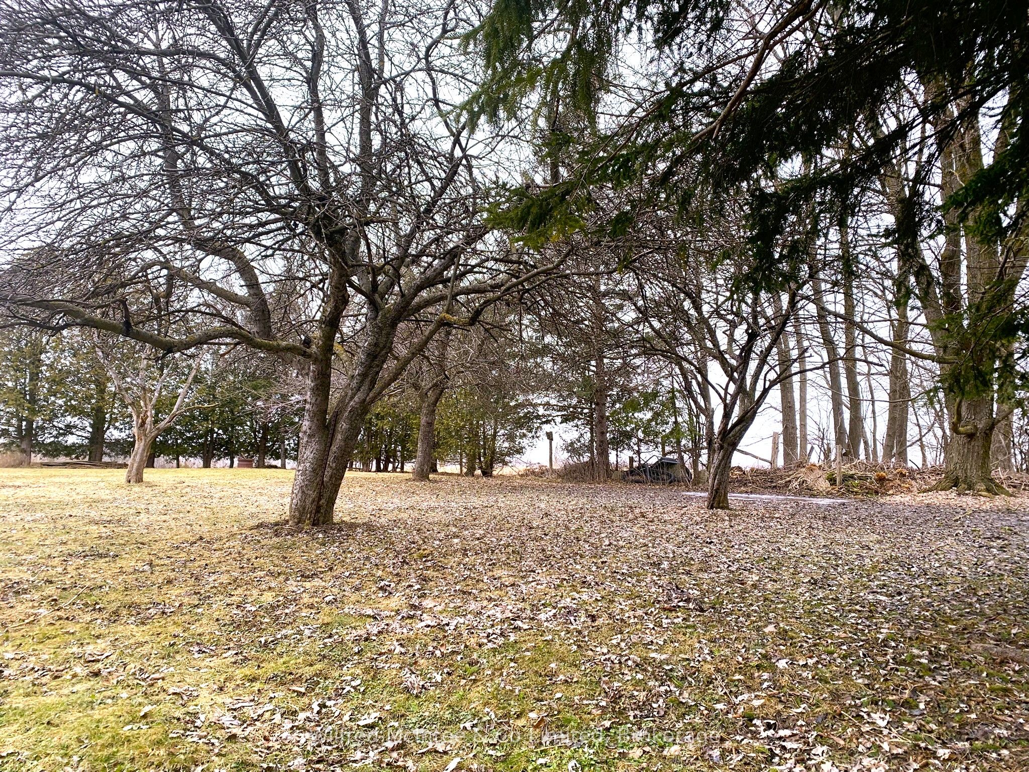 401395 Grey Rd 4 Property Photo 41