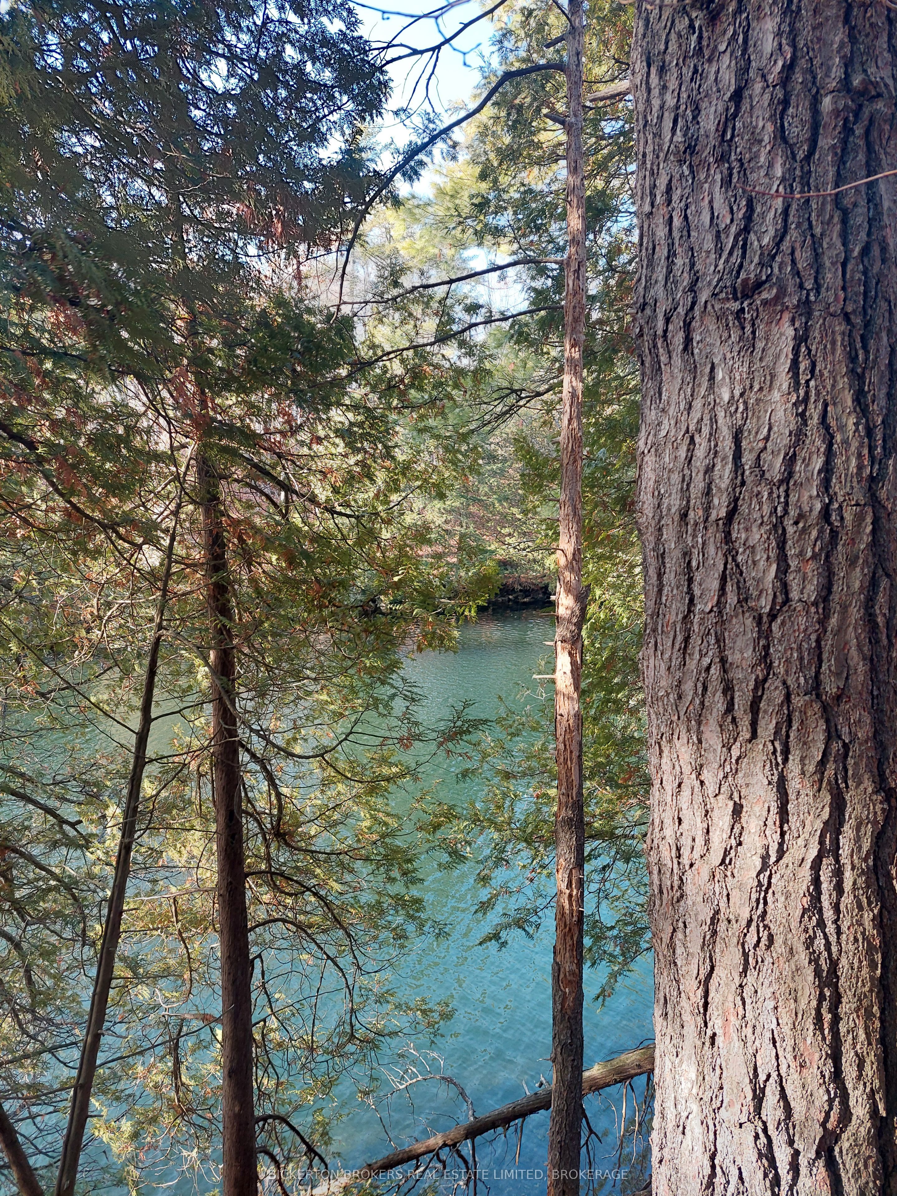 0 Murphy's Island Property Photo 3