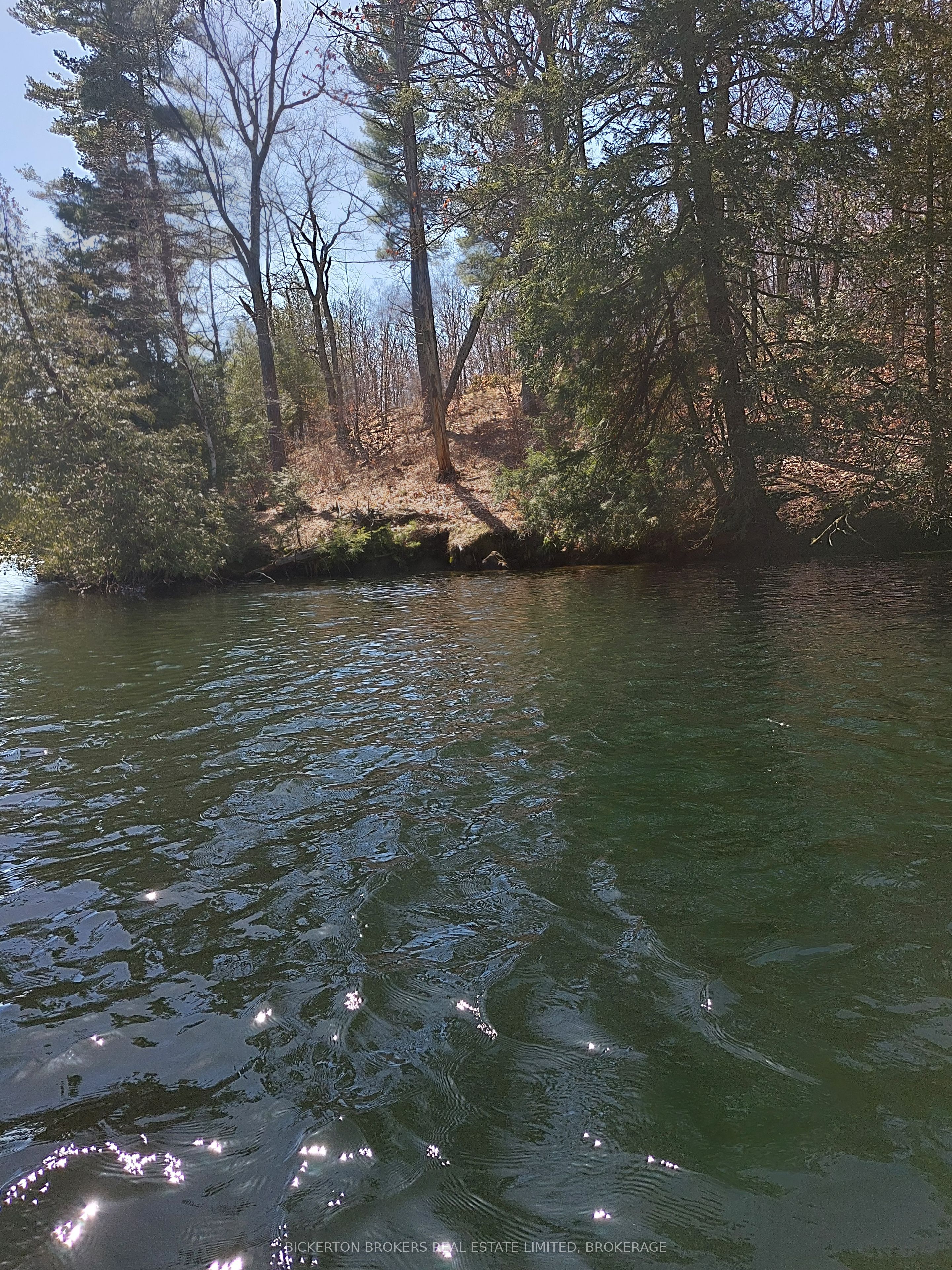 0 Murphy's Island Property Photo 6
