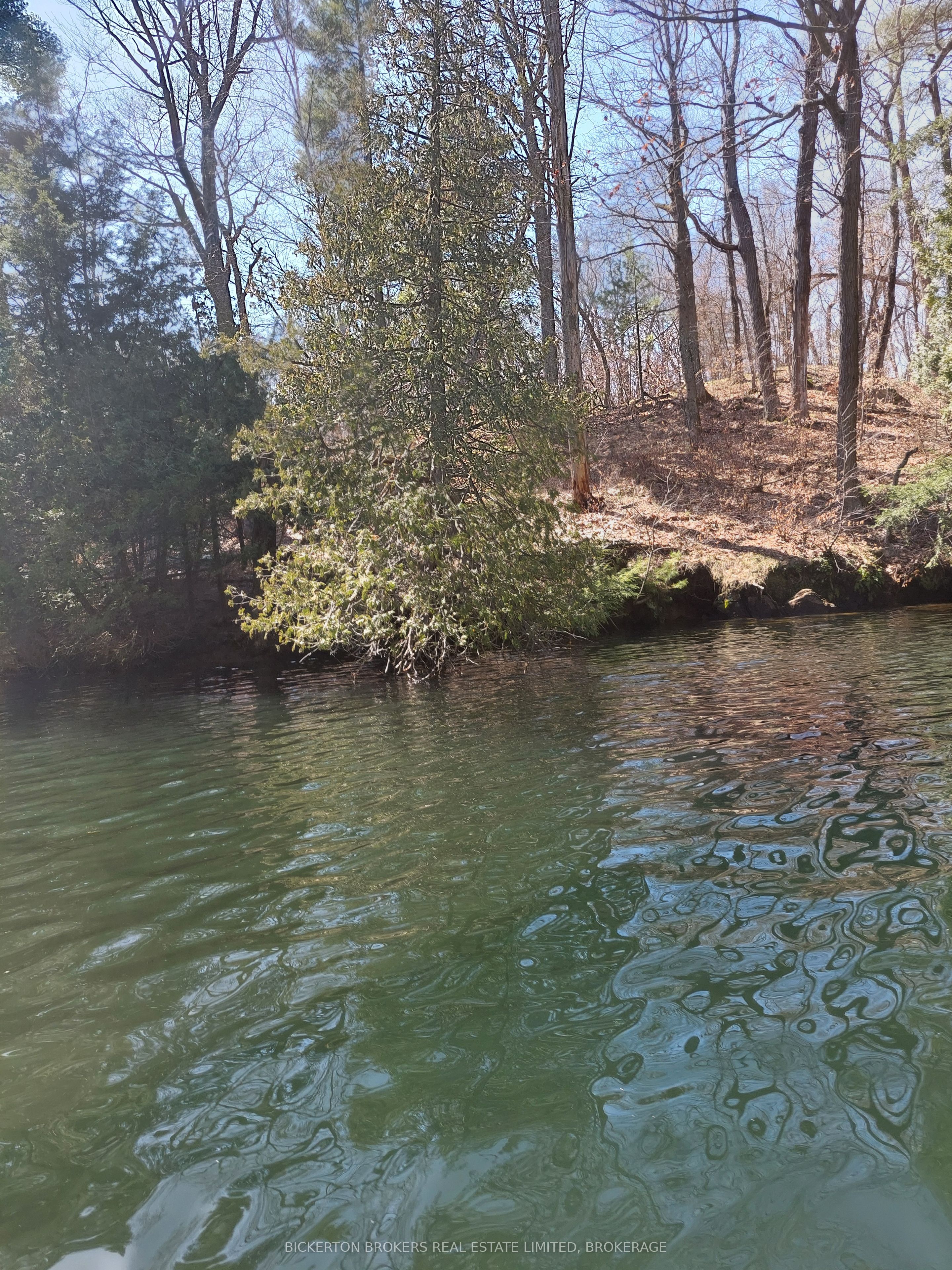 0 Murphy's Island Property Photo 7