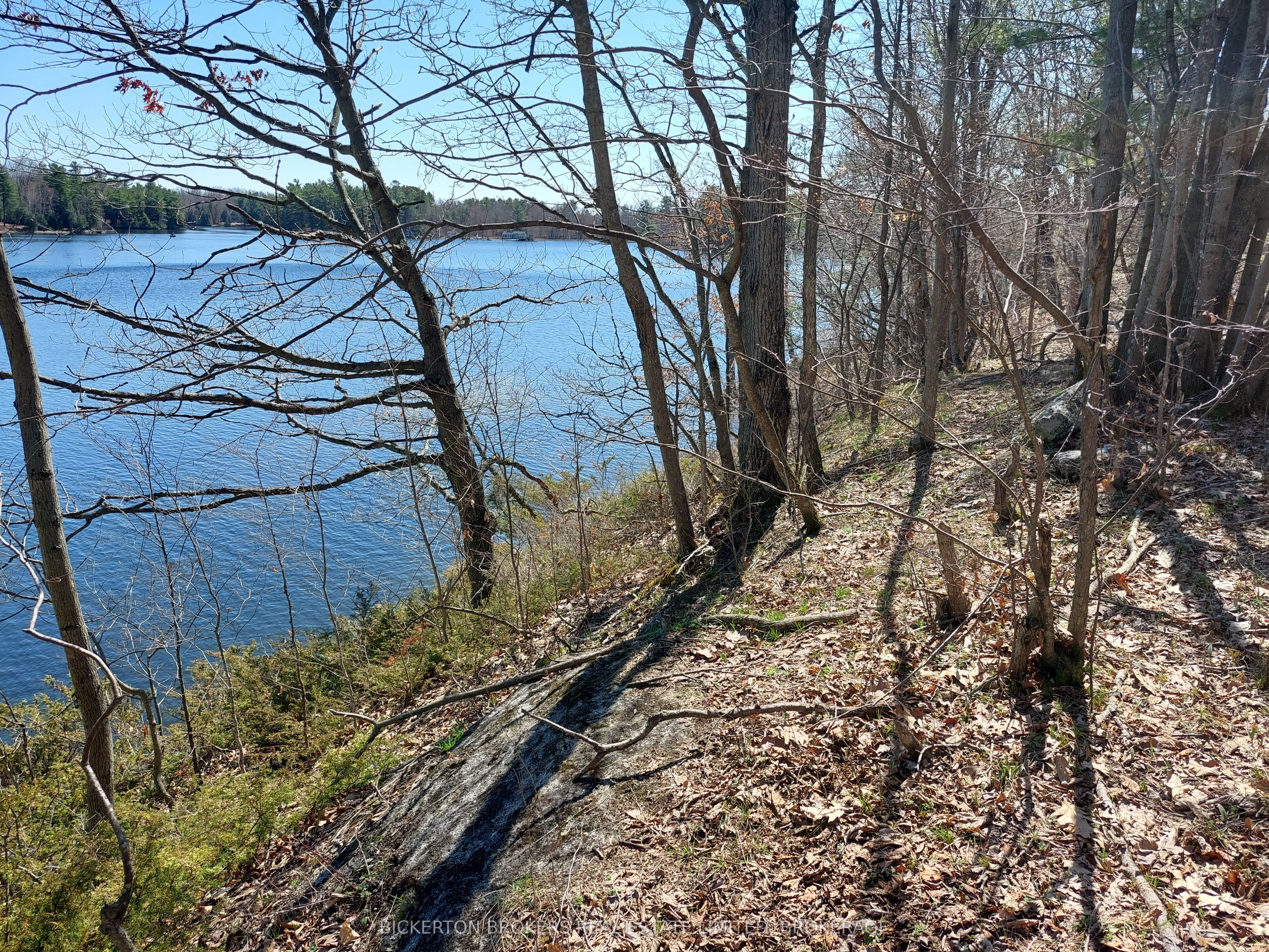 0 Murphy's Island Property Photo 9