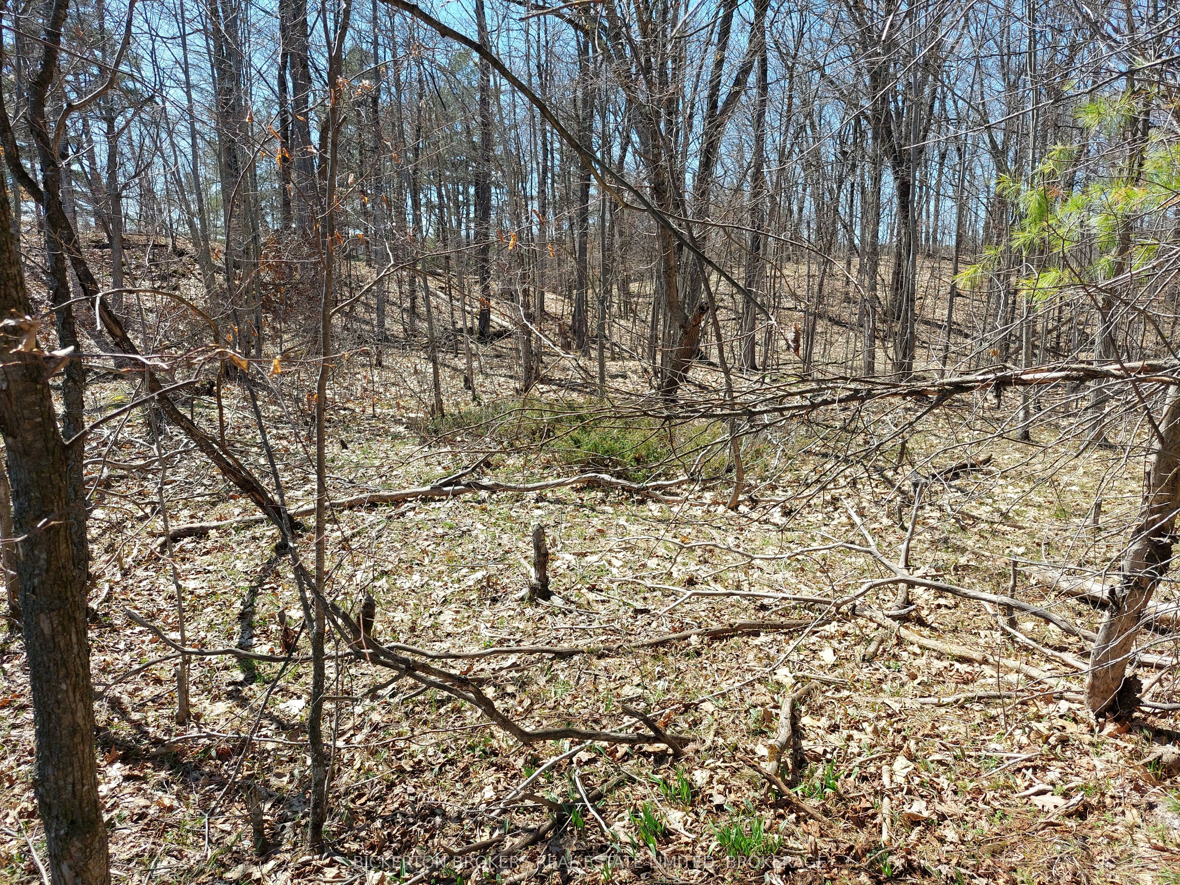 0 Murphy's Island Property Photo 10
