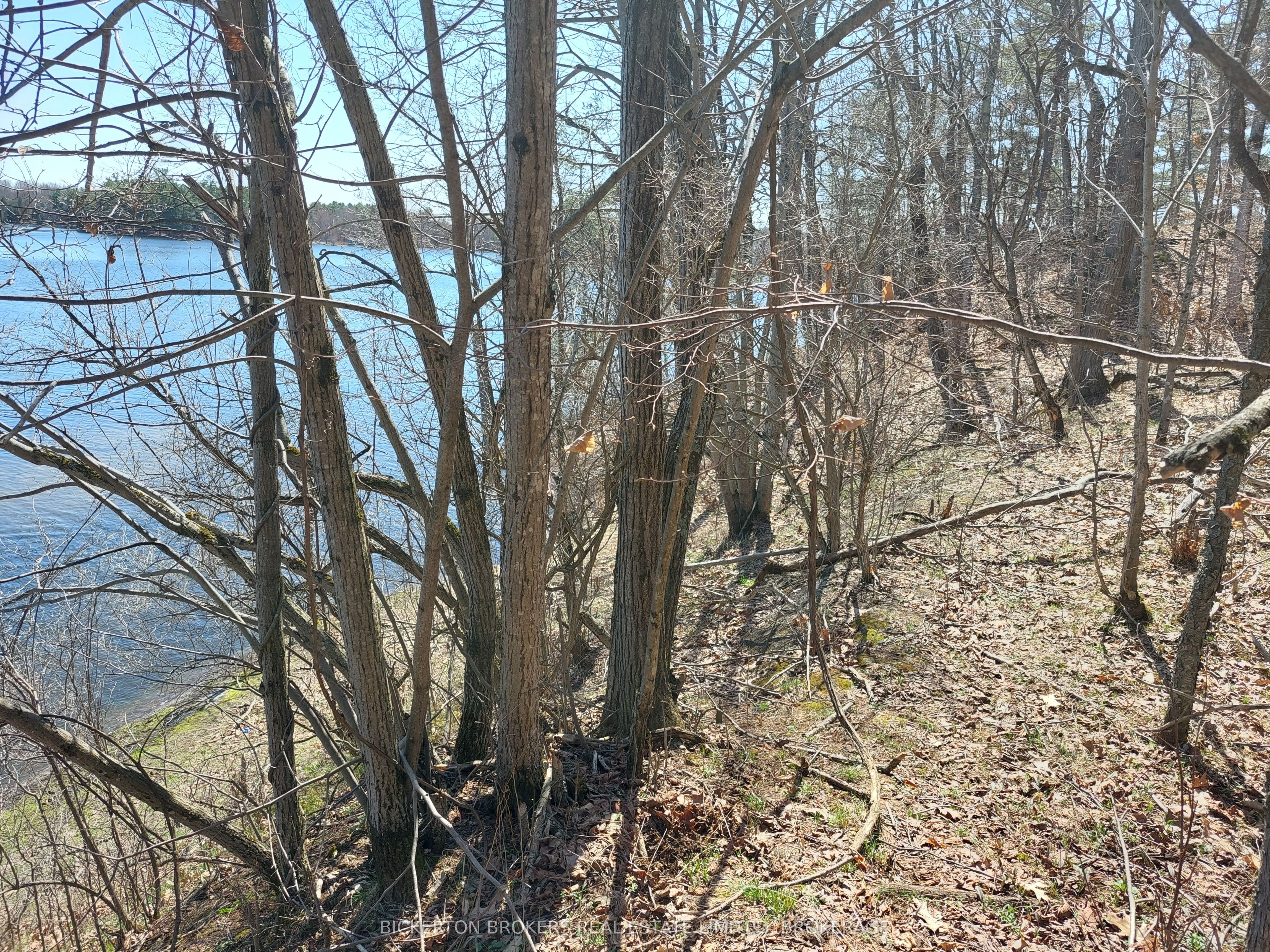 0 Murphy's Island Property Photo 11