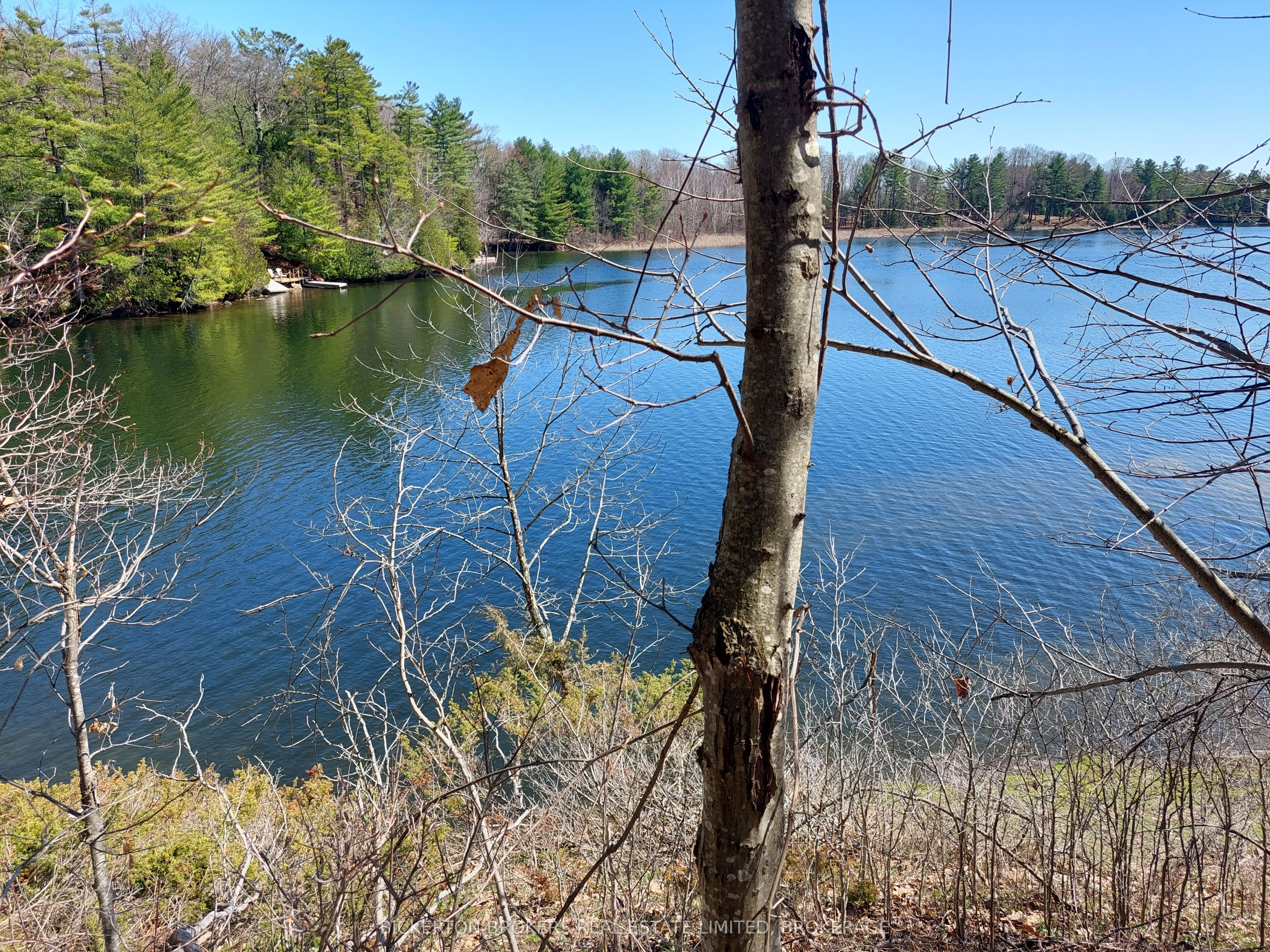 0 Murphy's Island Property Photo 12