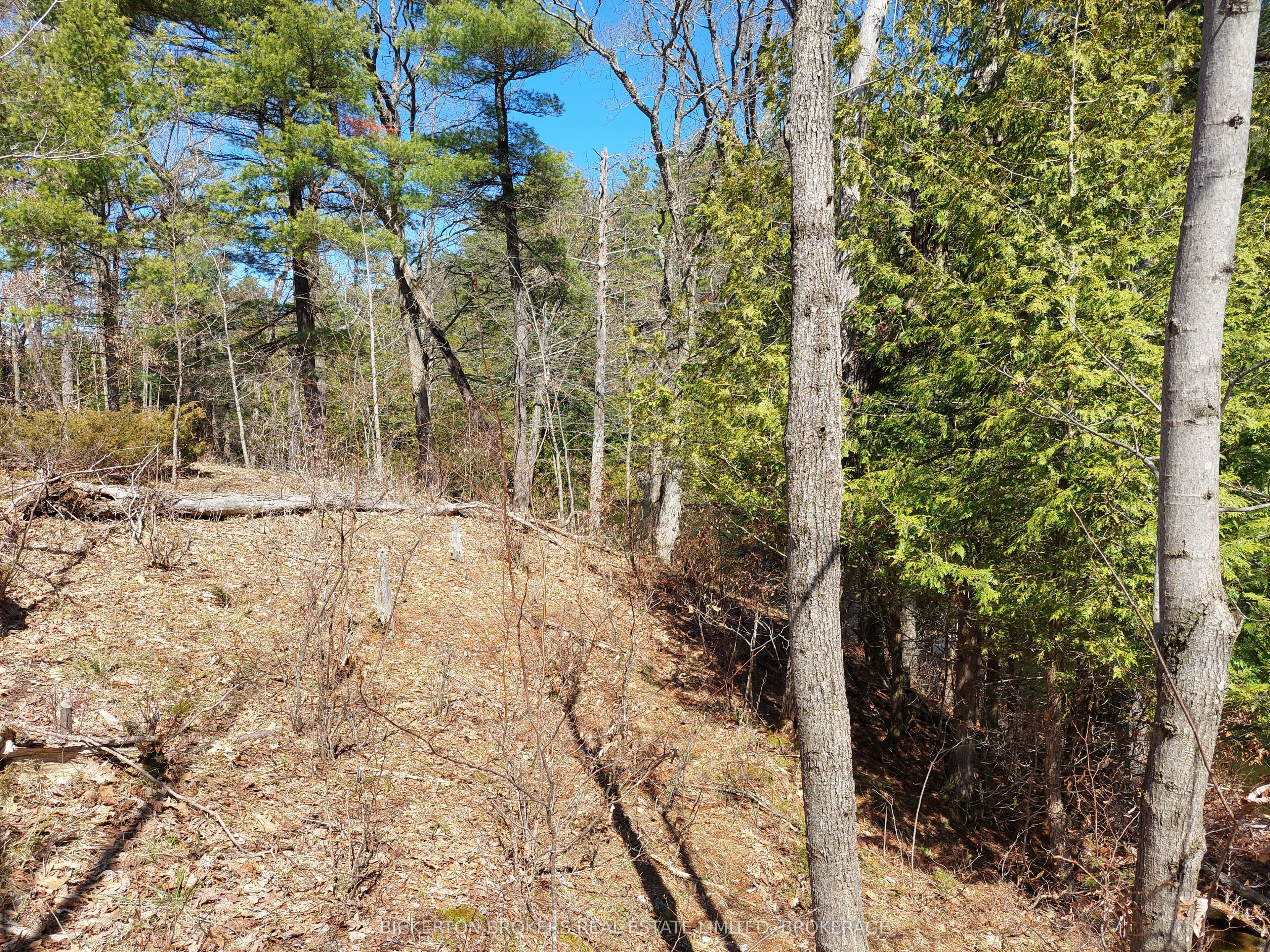 0 Murphy's Island Property Photo 13
