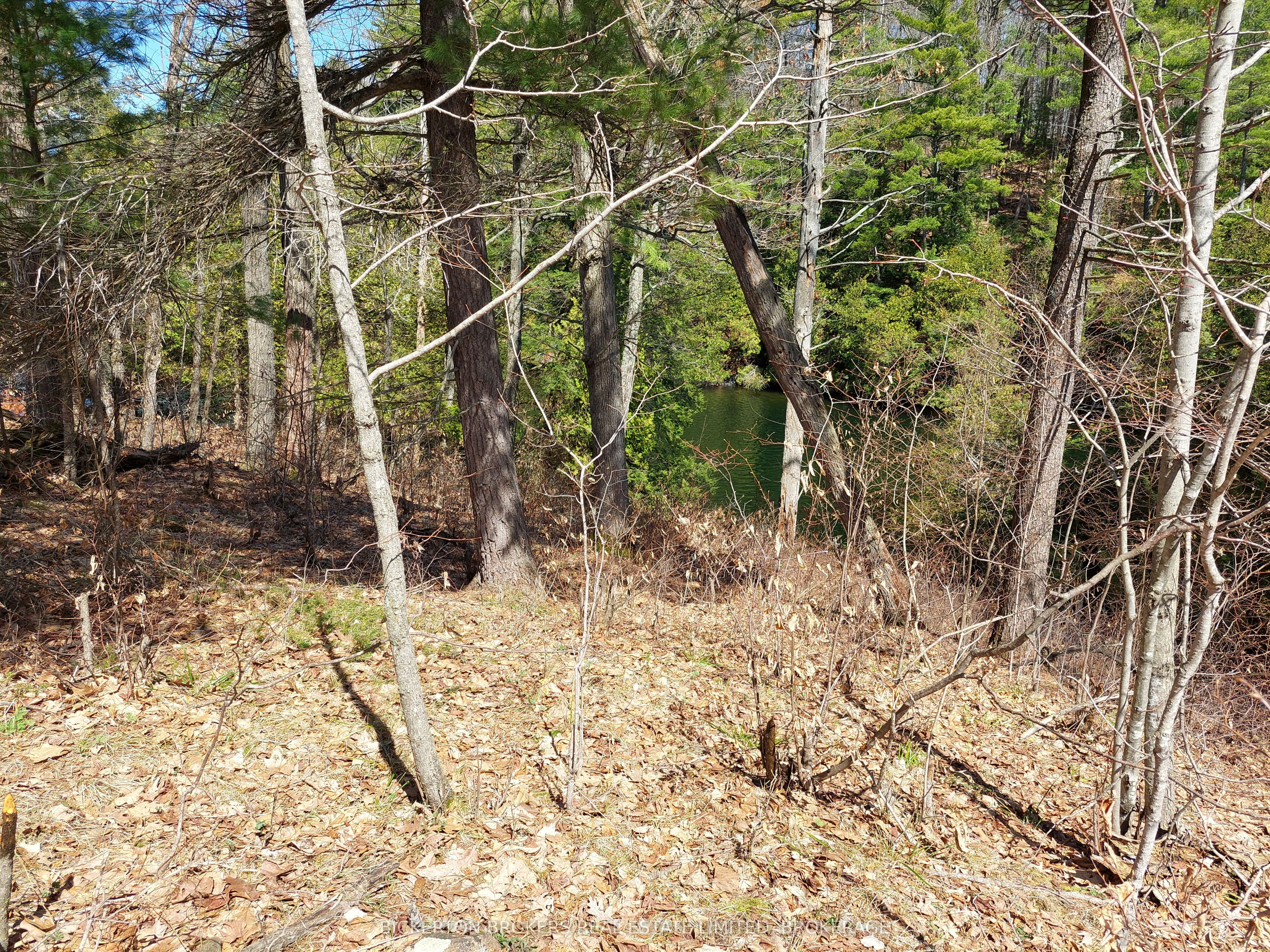 0 Murphy's Island Property Photo 14