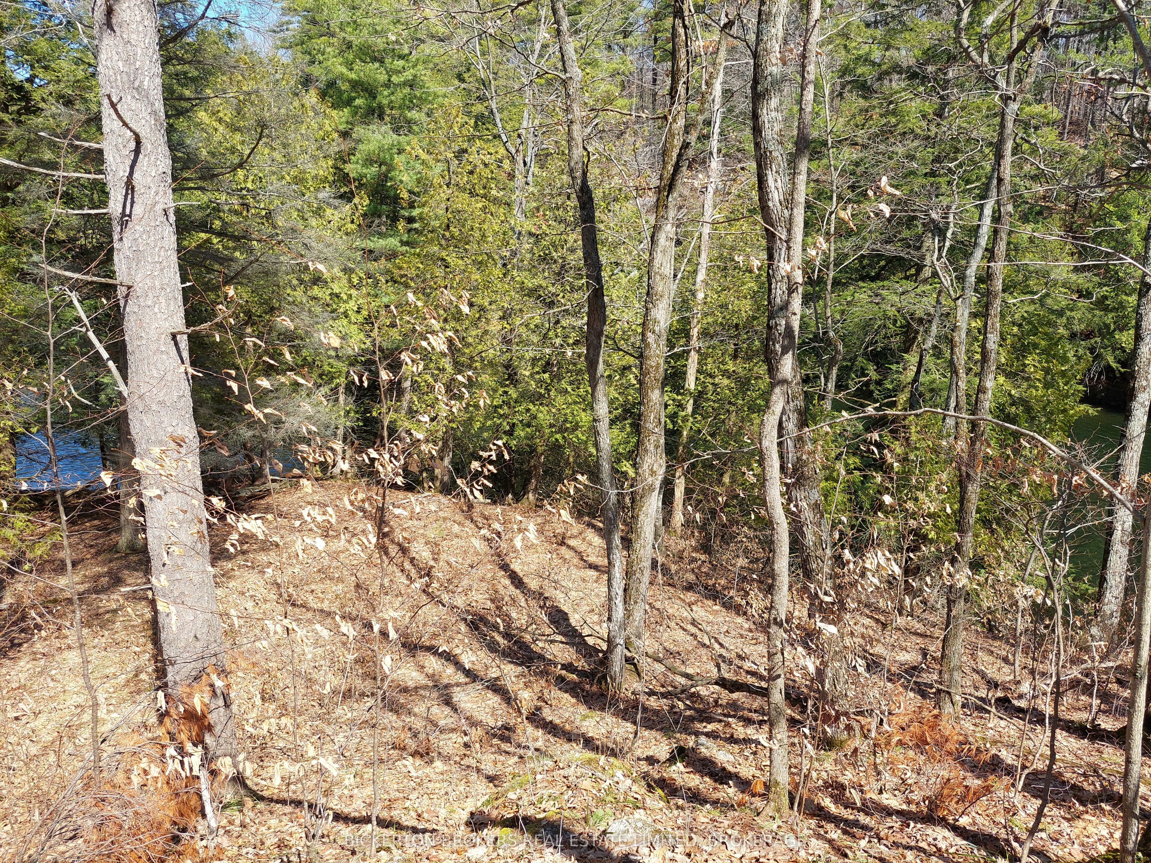 0 Murphy's Island Property Photo 15