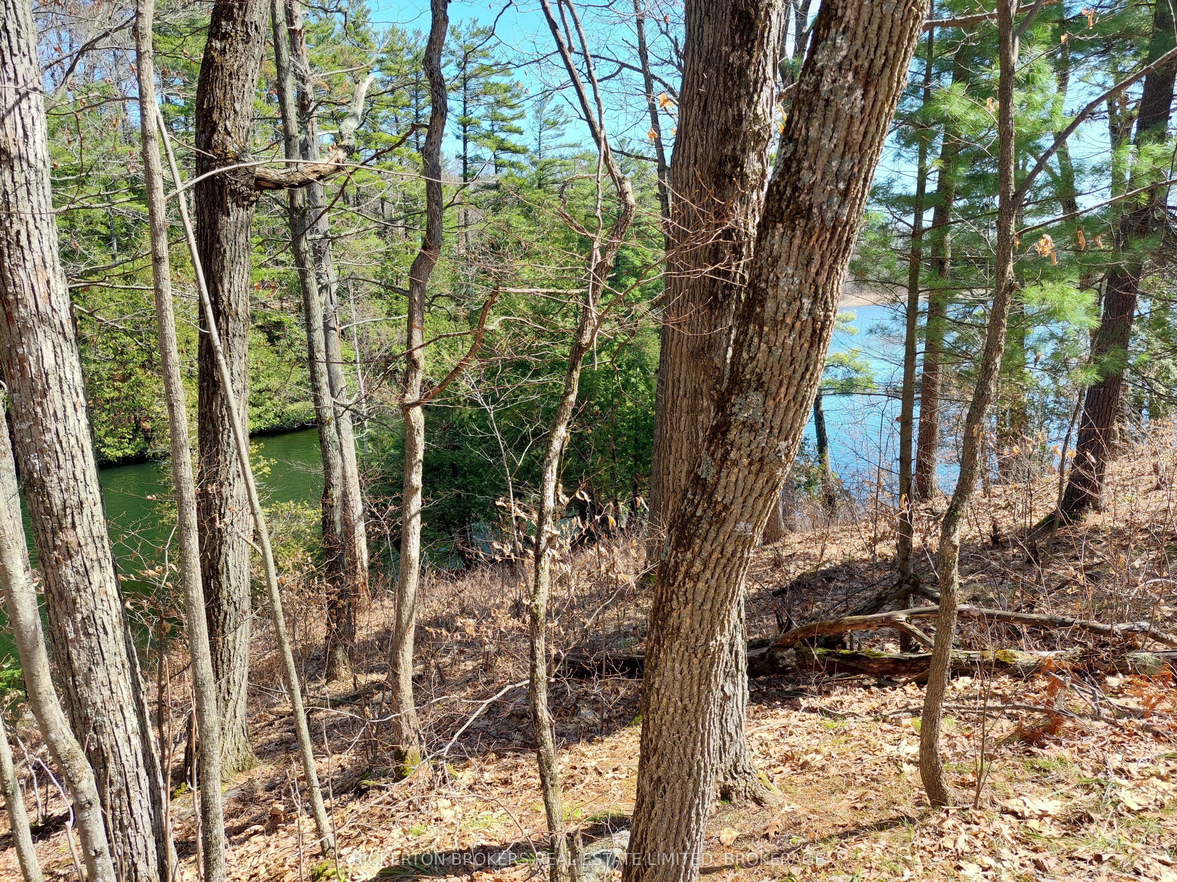 0 Murphy's Island Property Photo 16