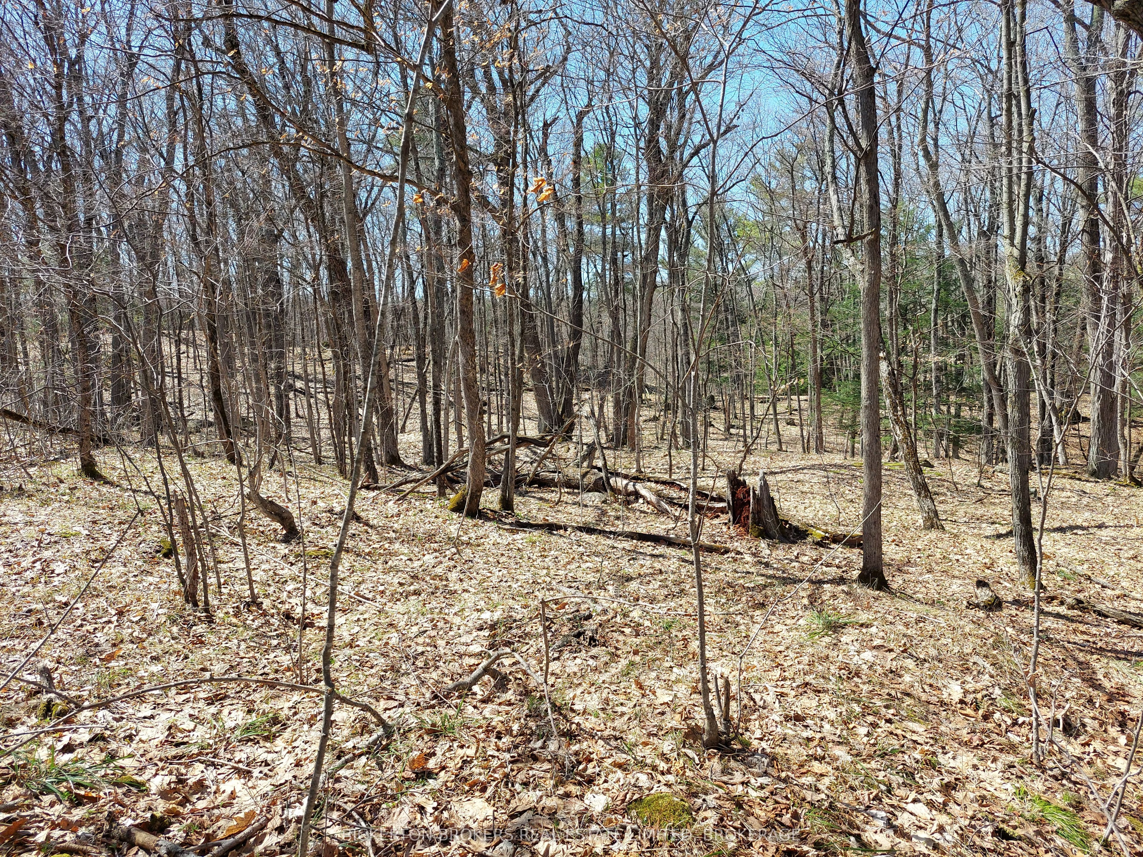 0 Murphy's Island Property Photo 17