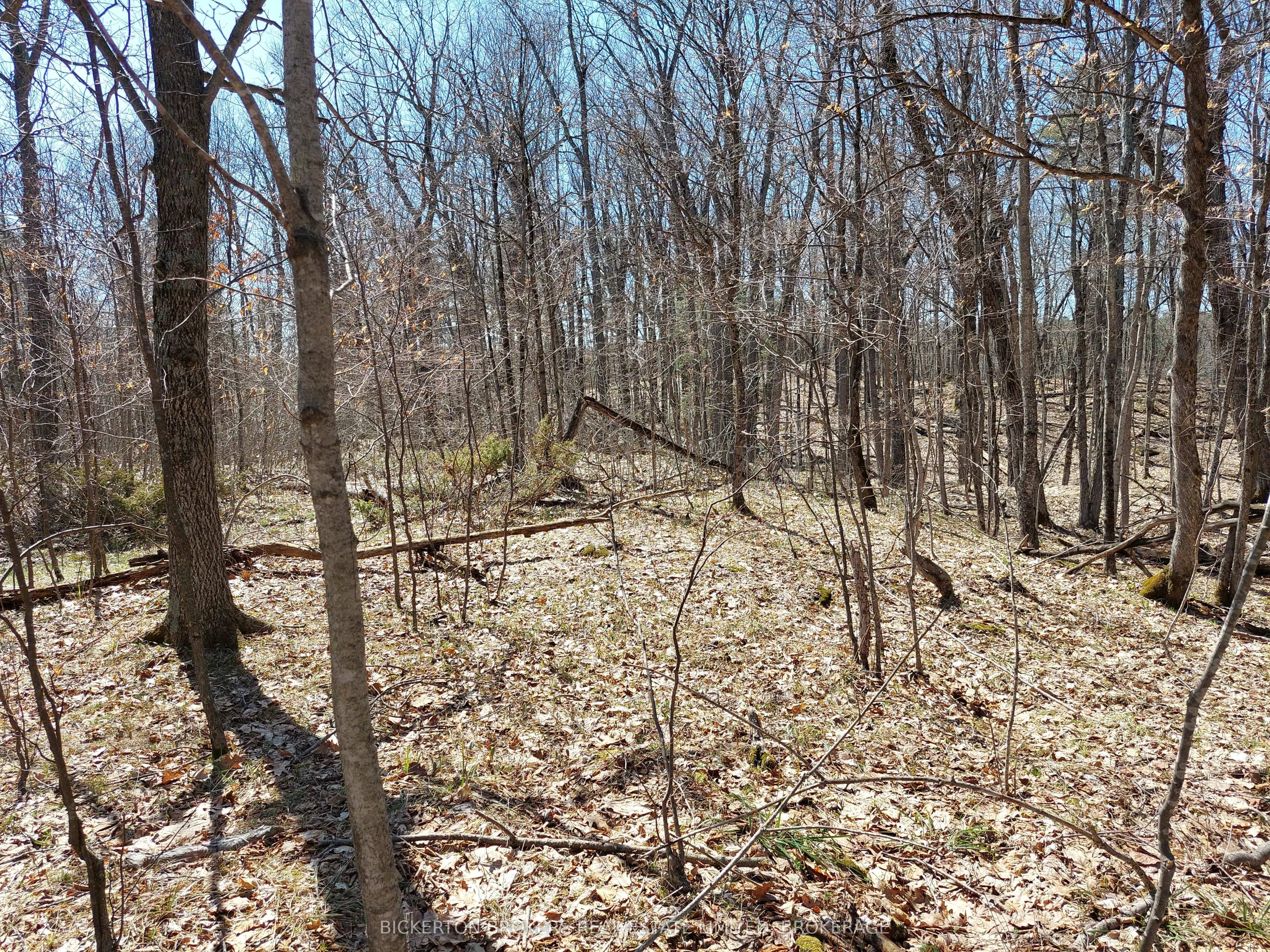 0 Murphy's Island Property Photo 18