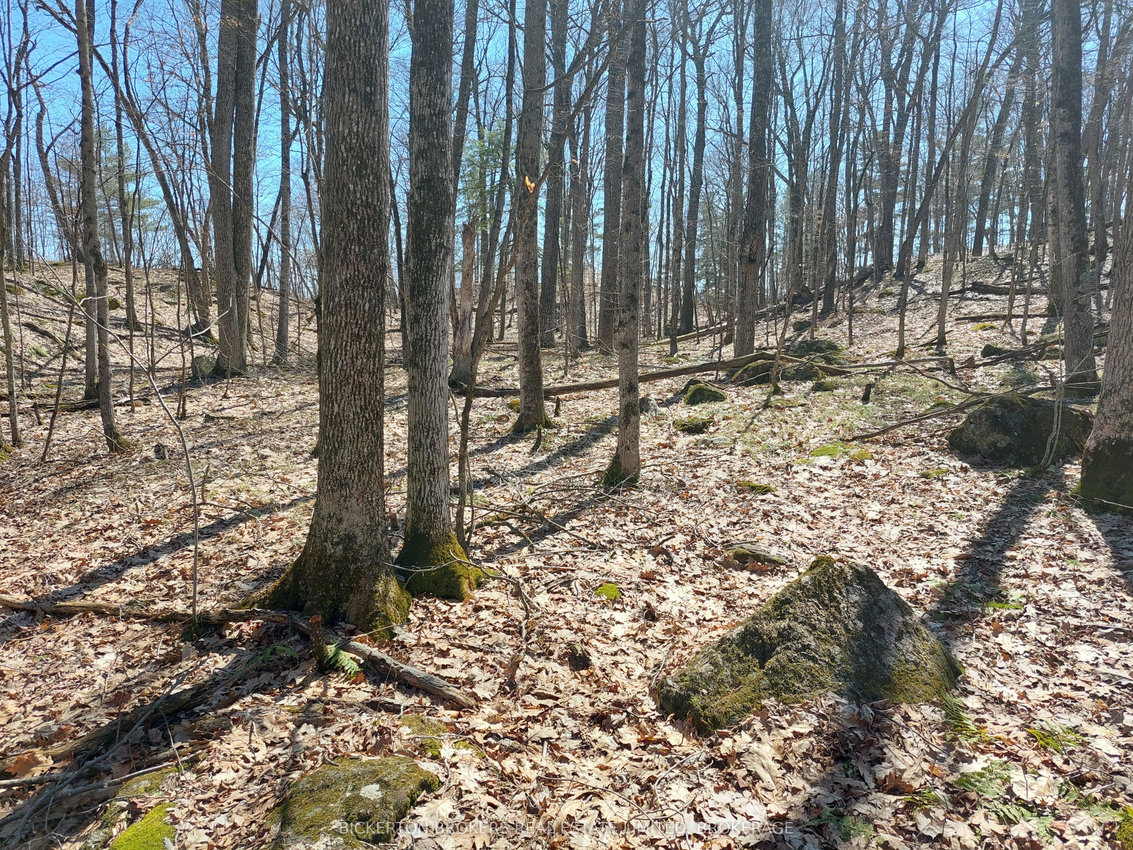 0 Murphy's Island Property Photo 19