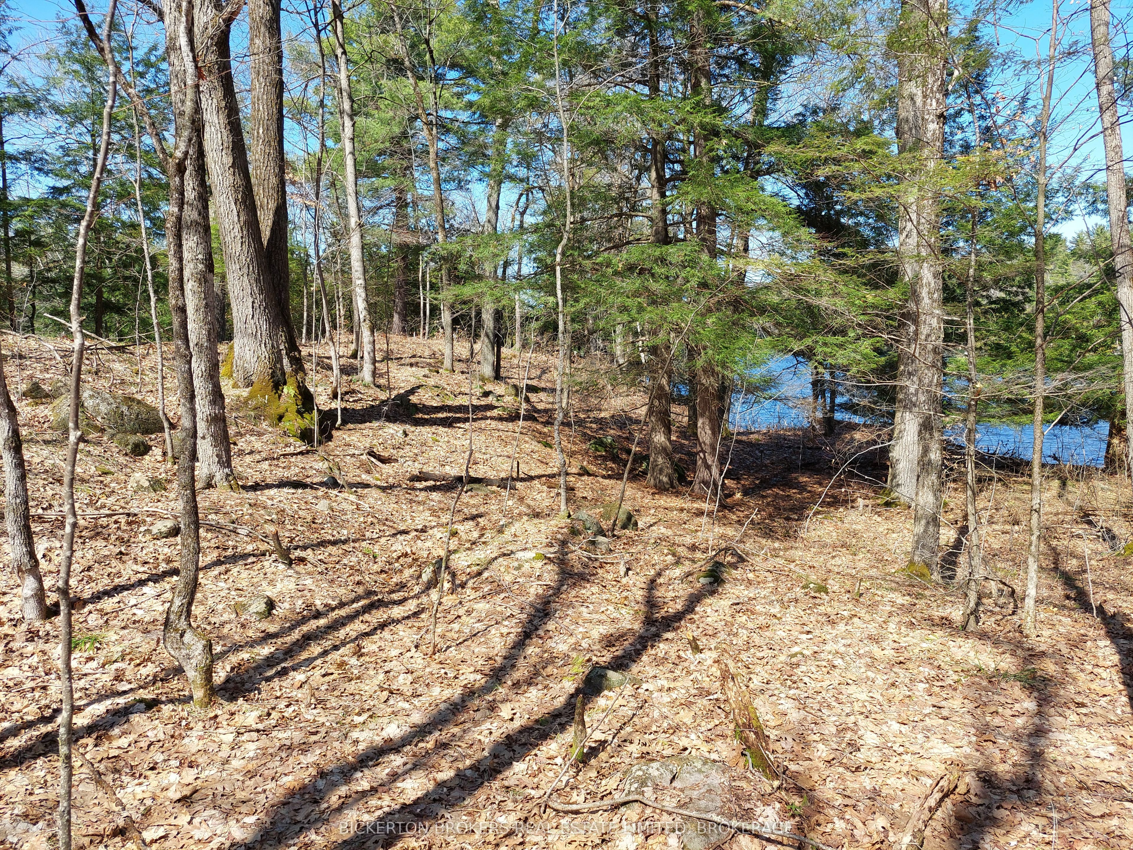 0 Murphy's Island Property Photo 20