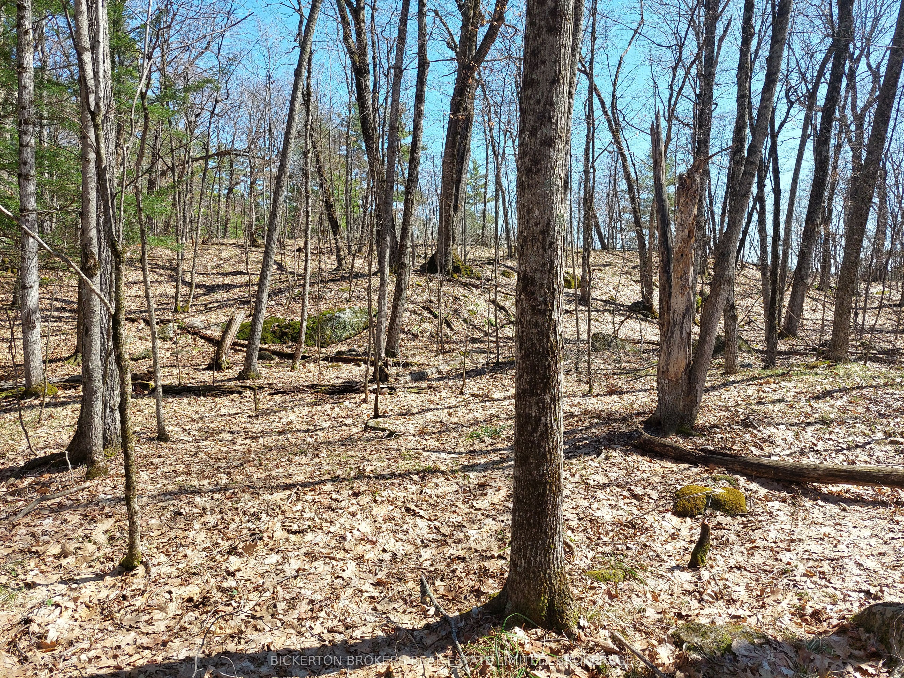 0 Murphy's Island Property Photo 21