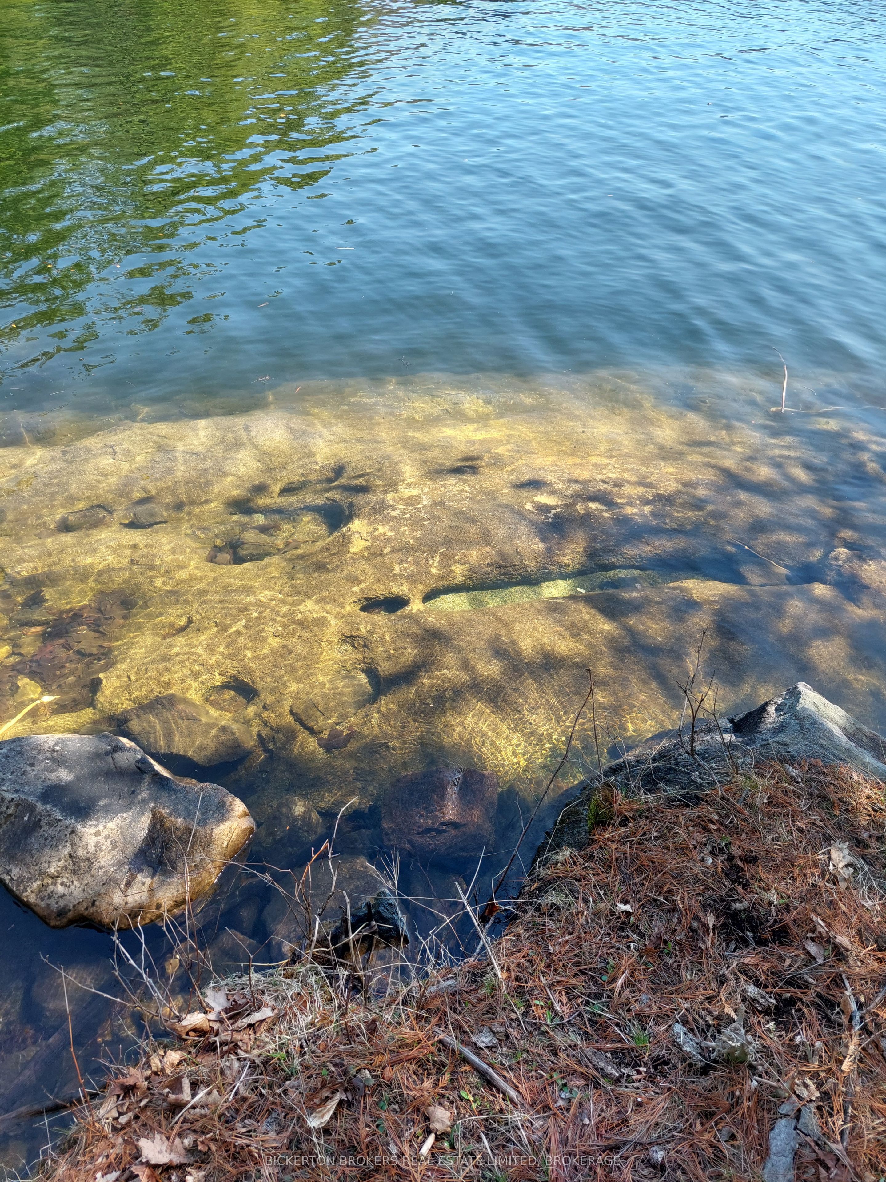 0 Murphy's Island Property Photo 22