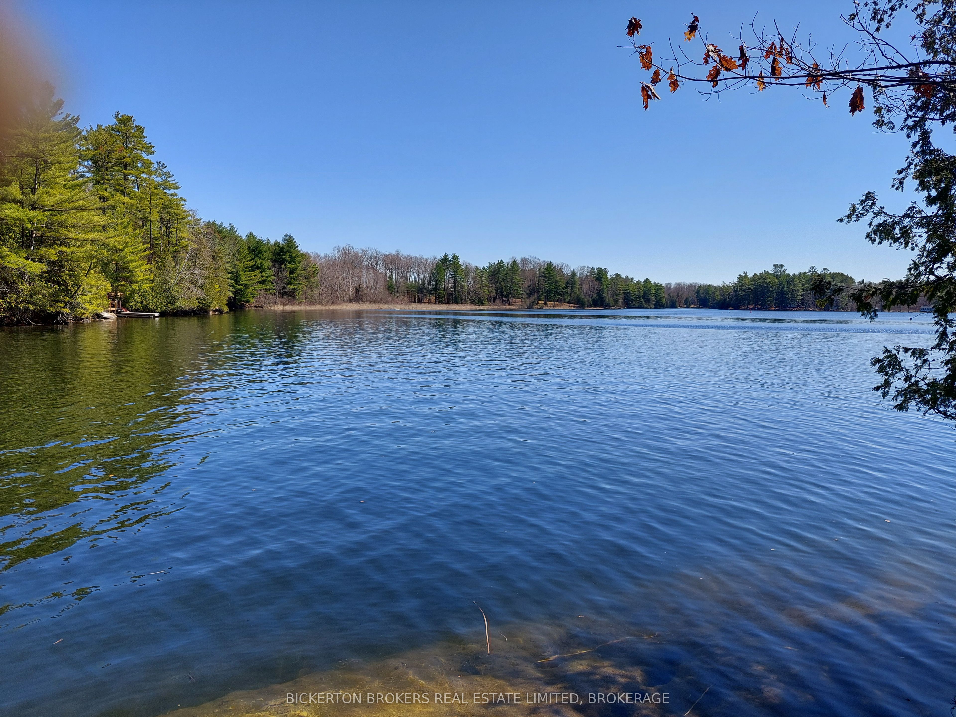 0 Murphy's Island Property Photo 23