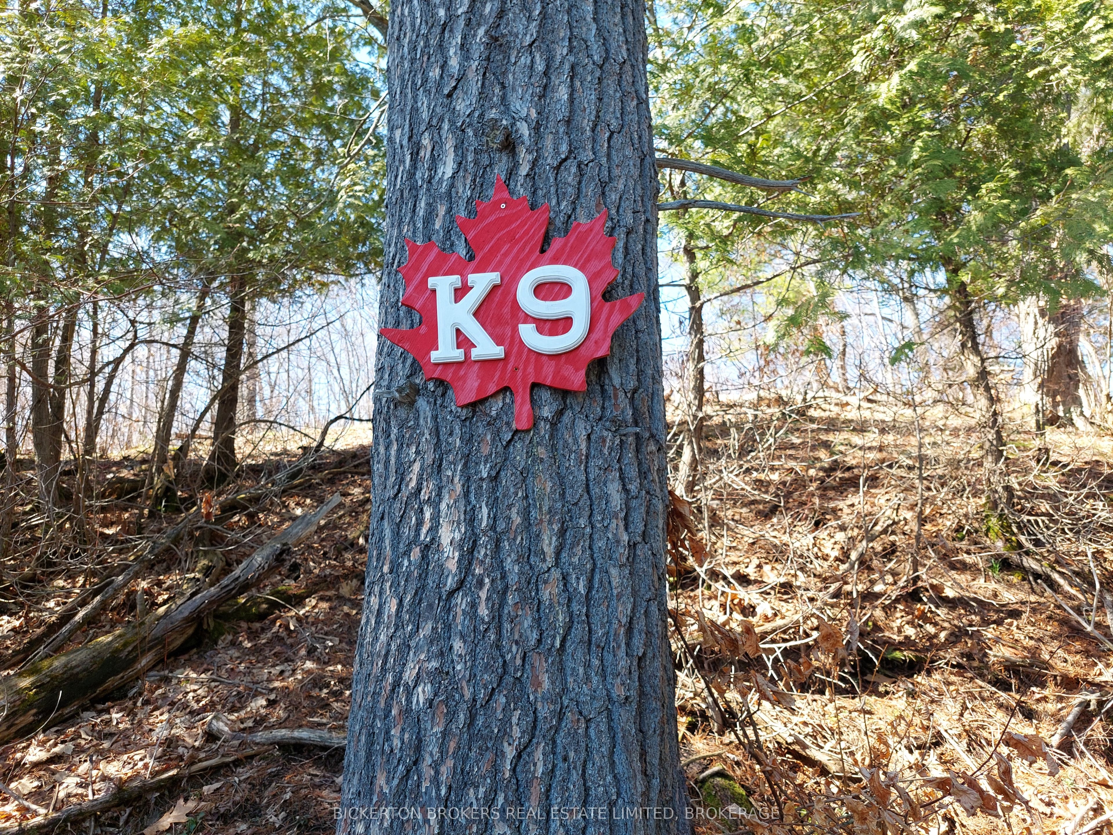 0 Murphy's Island Property Photo 24