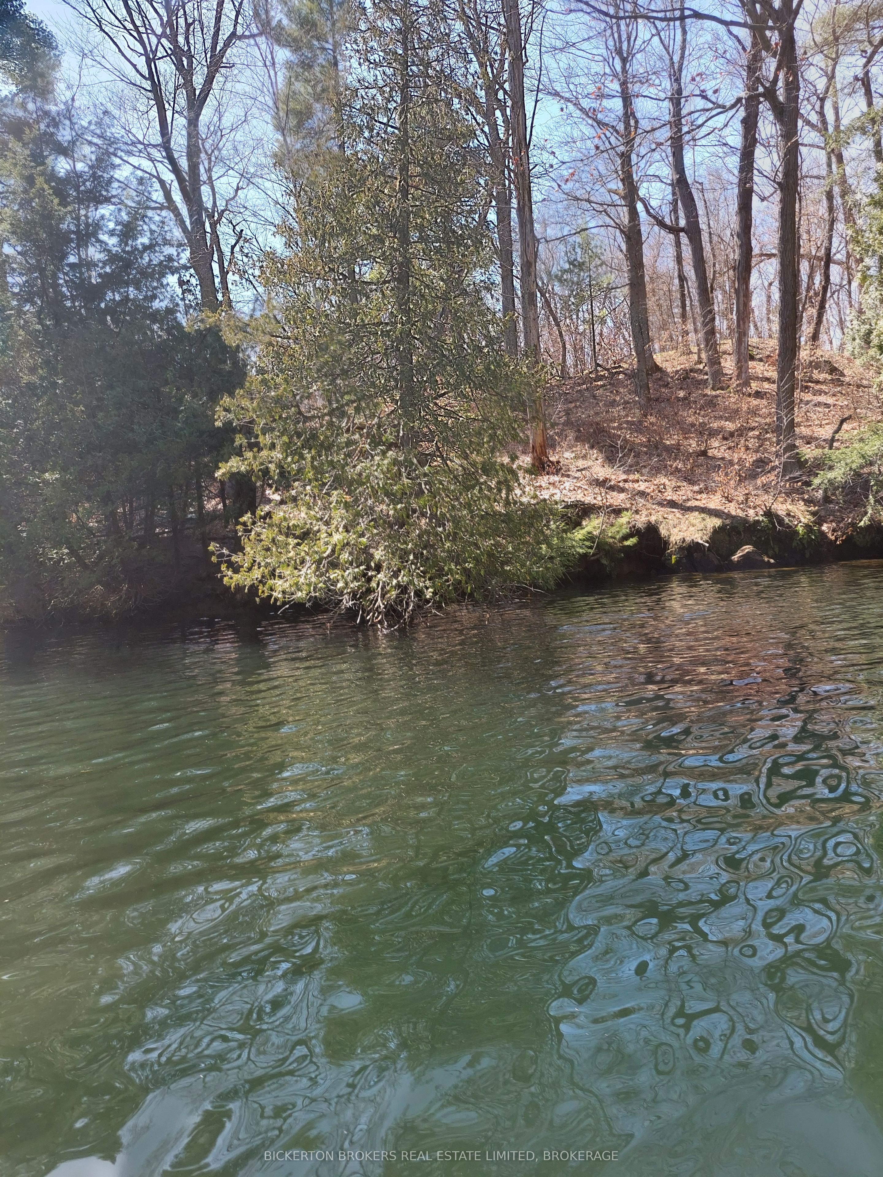 0 Murphy's Island Property Photo 28