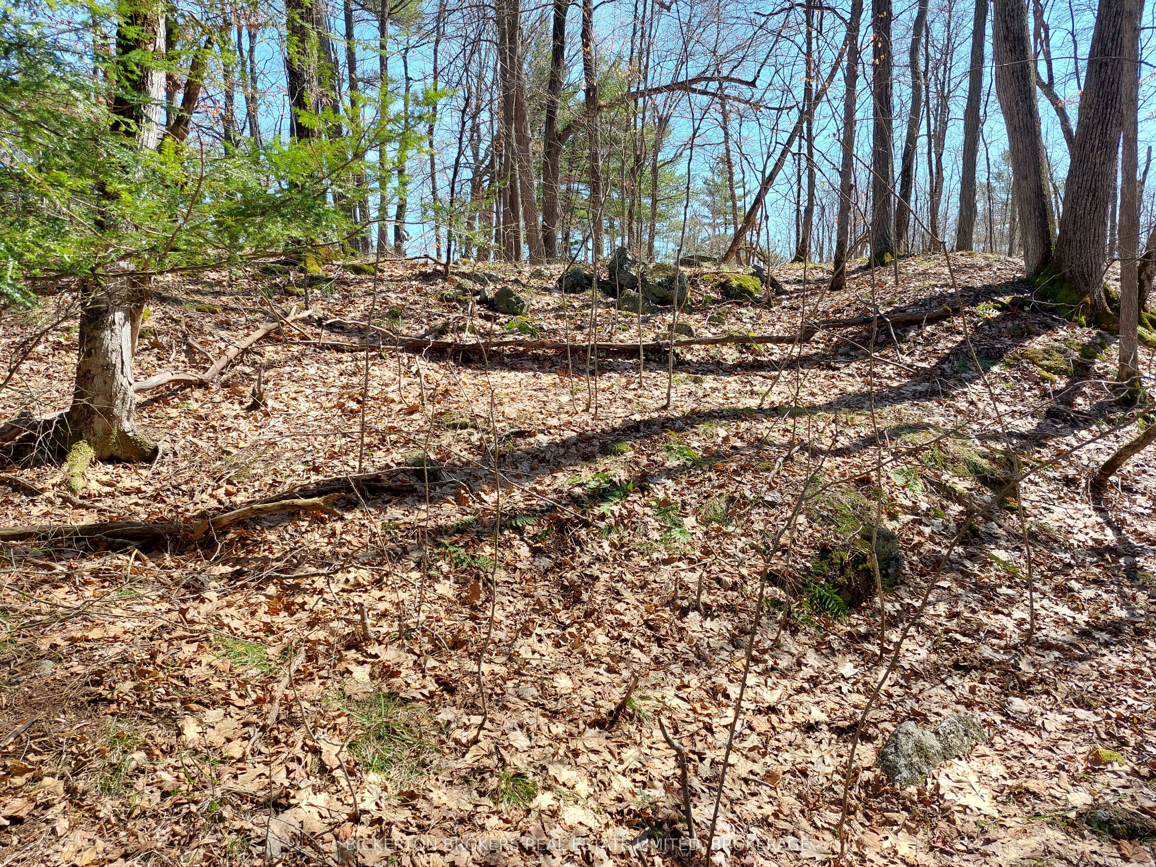 0 Murphy's Island Property Photo 38