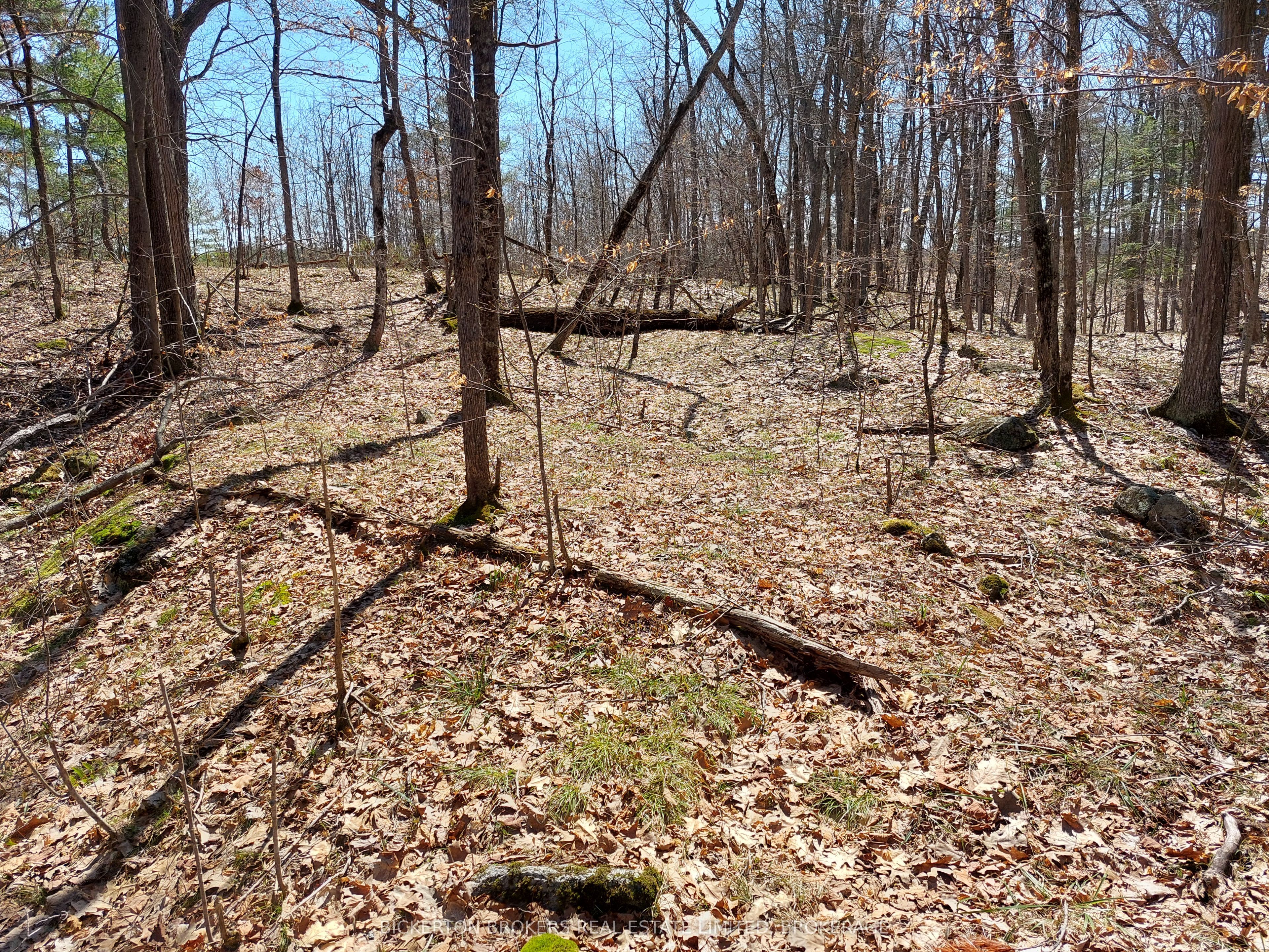 0 Murphy's Island Property Photo 39