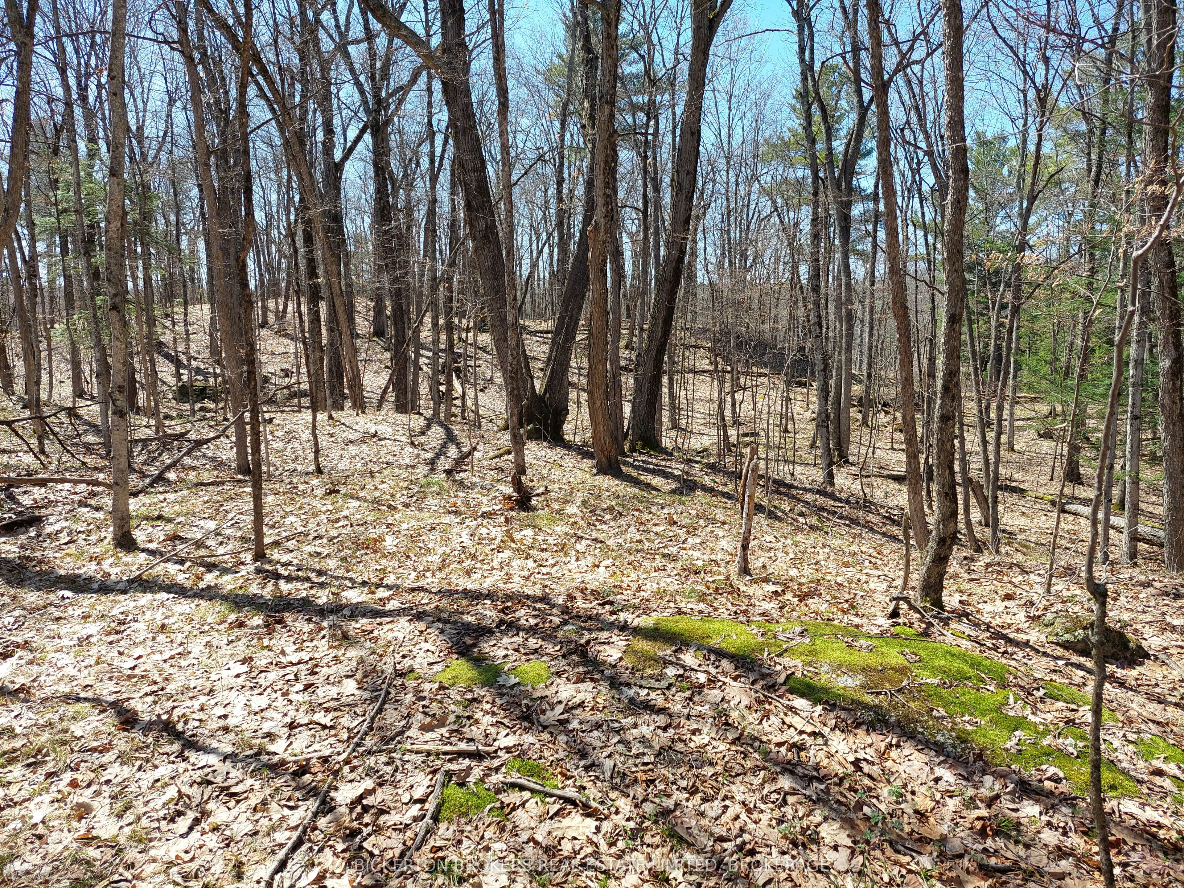 0 Murphy's Island Property Photo 40