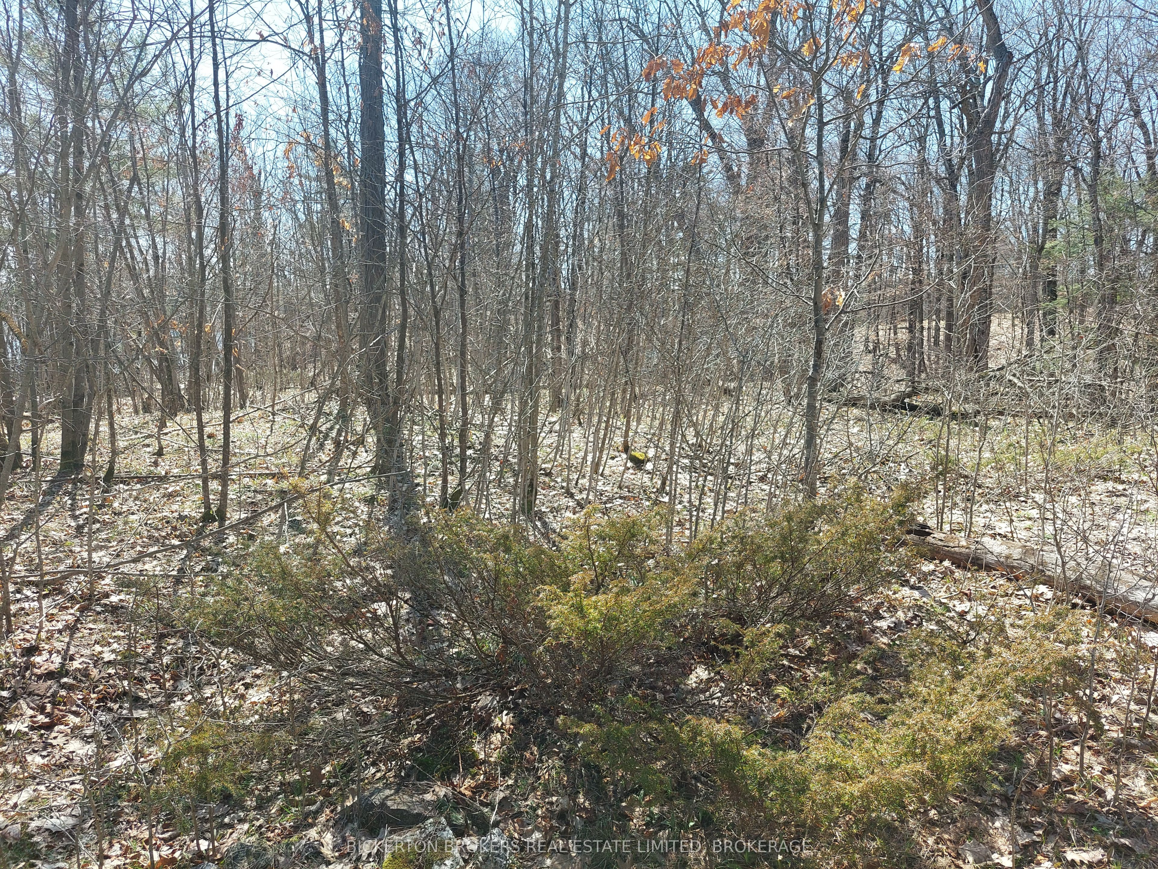 0 Murphy's Island Property Photo 41